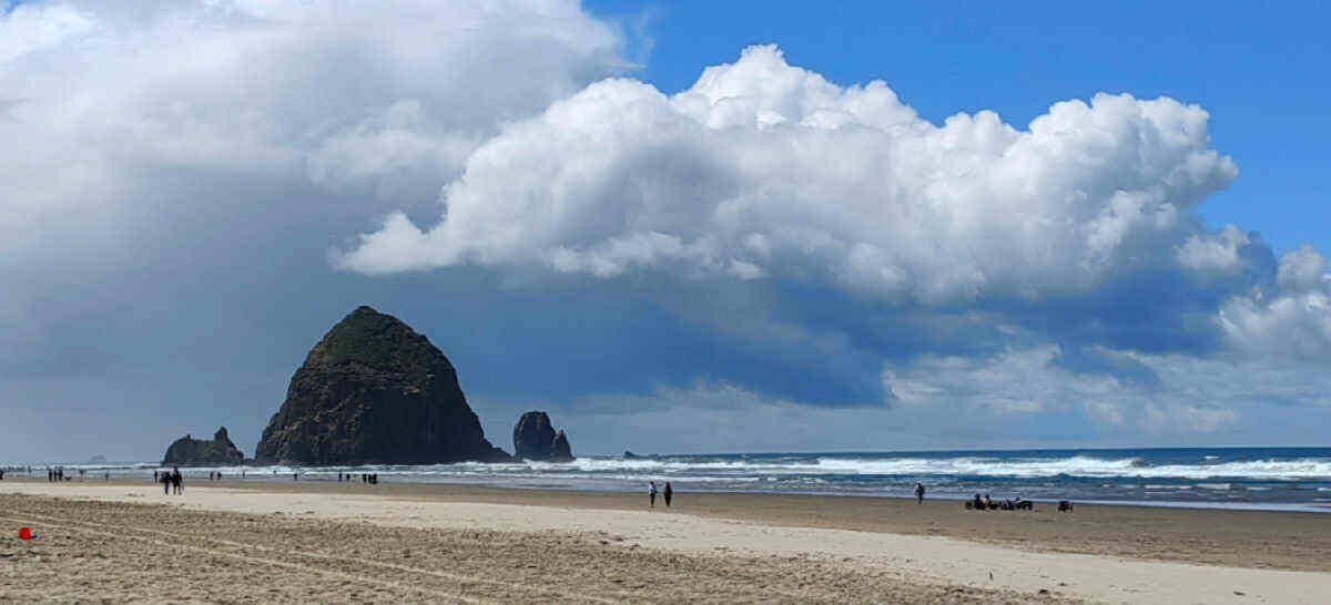 景觀規(guī)劃：應(yīng)對自然災(zāi)害的有效方式