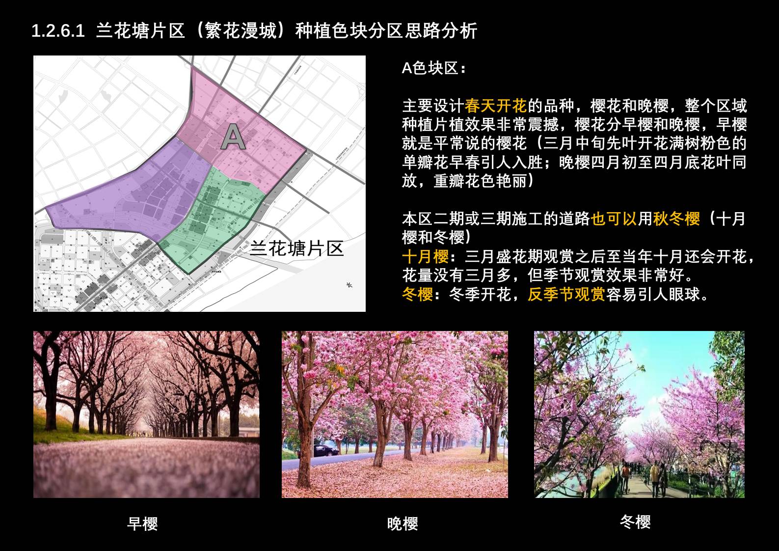 幻燈片14.JPG
