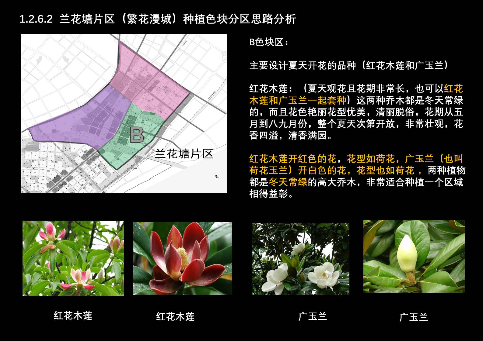 幻燈片15.JPG
