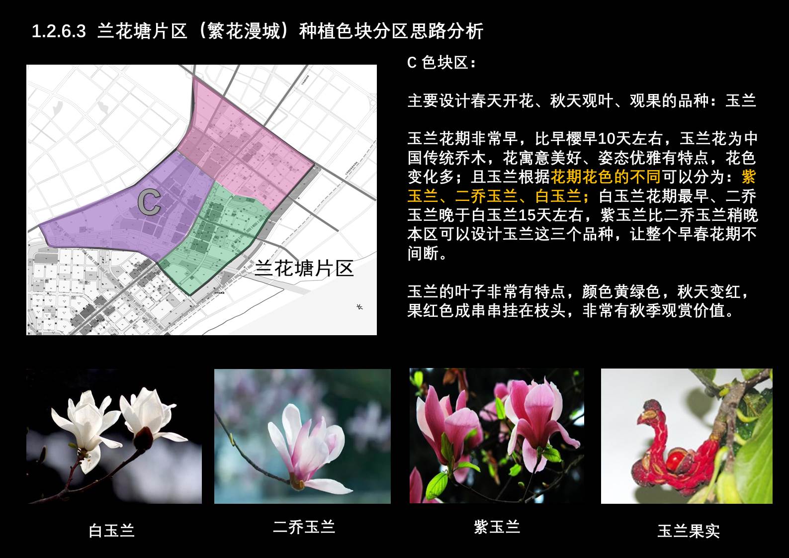 幻燈片16.JPG