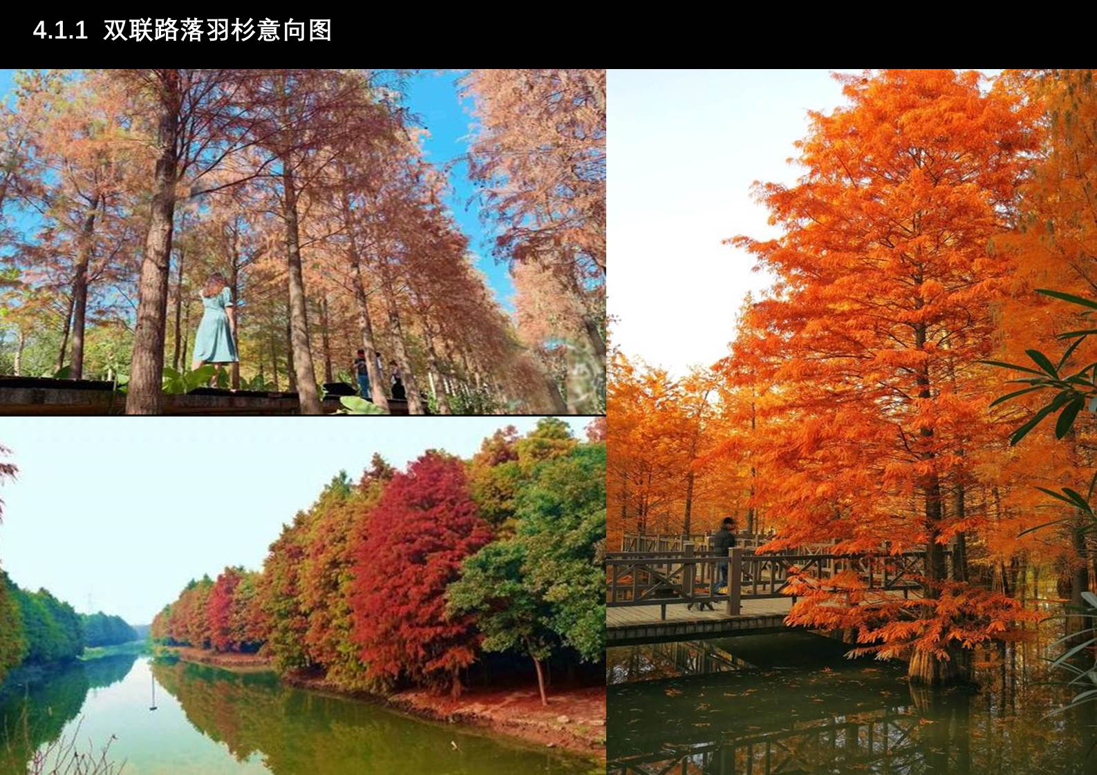 幻燈片62.JPG
