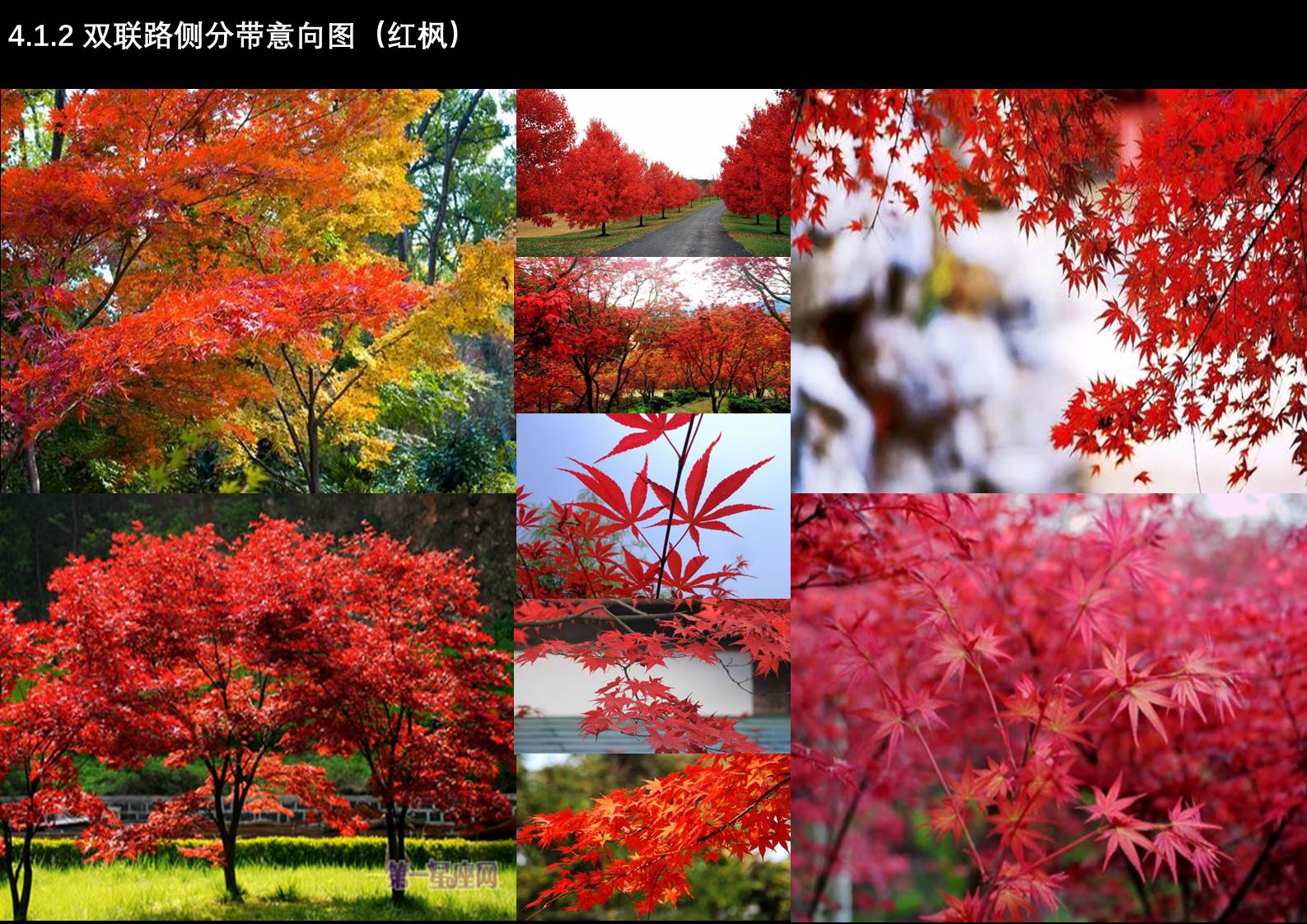 幻燈片63.JPG