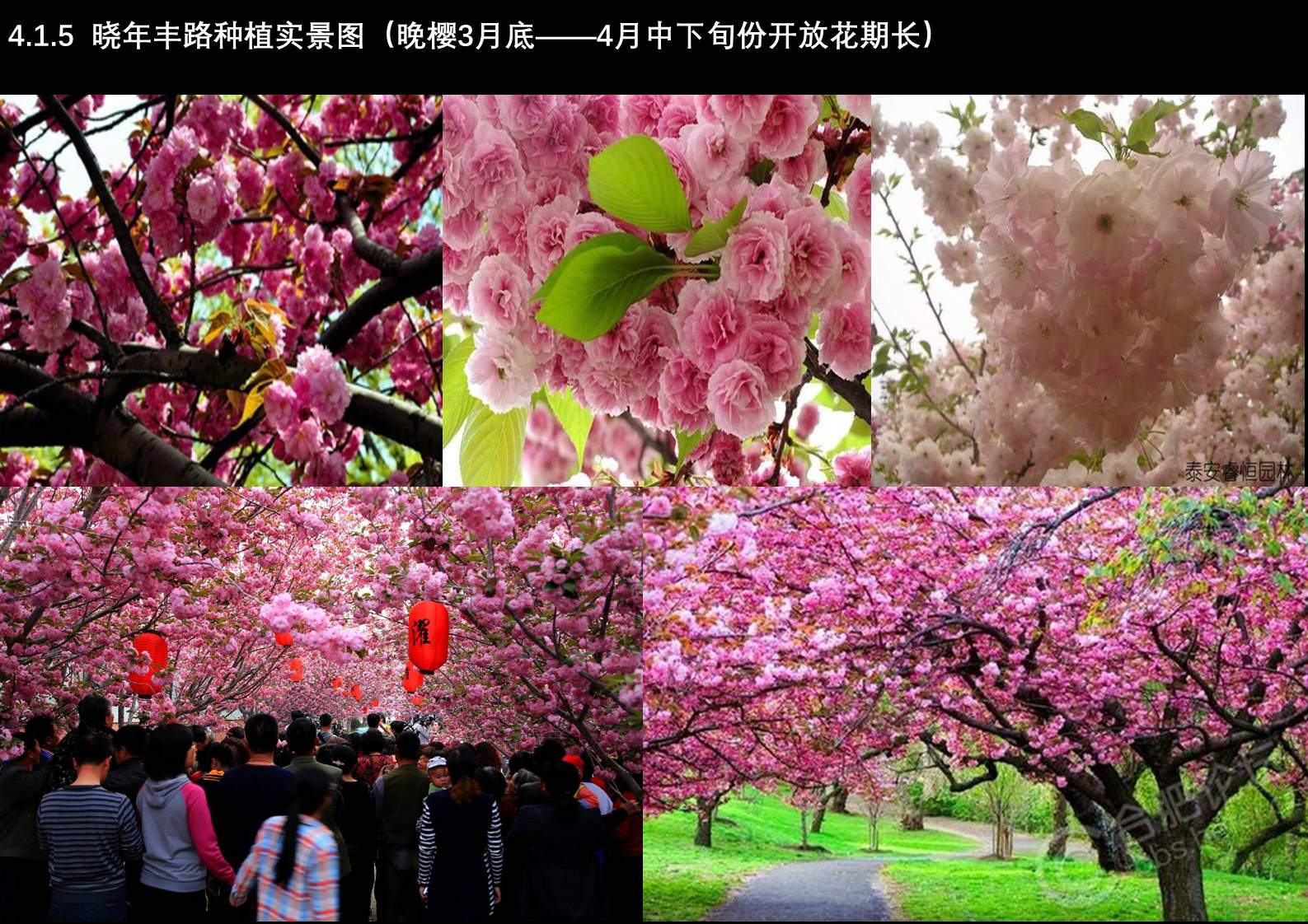 幻燈片66.JPG