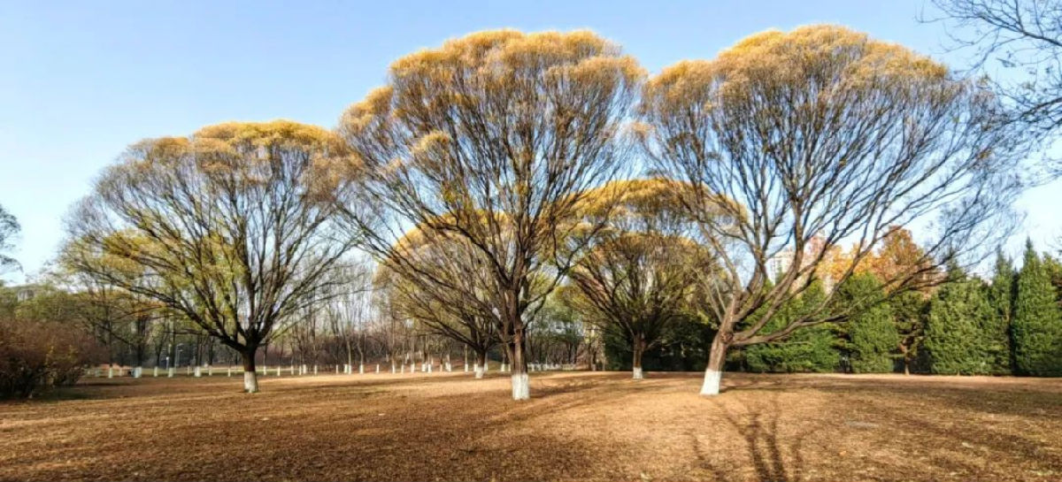 從歷史的發(fā)展脈絡(luò)看抽象藝術(shù)，現(xiàn)代藝術(shù)從何而來？