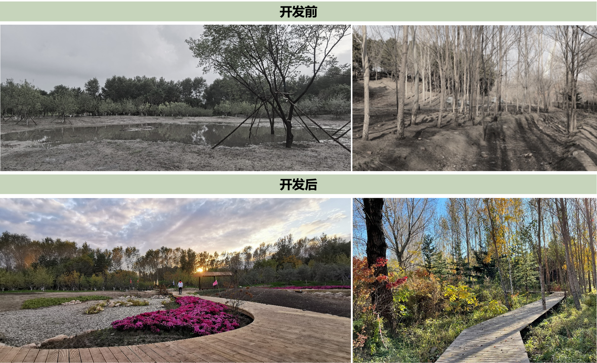 压-技术支持1节约型园林.jpg