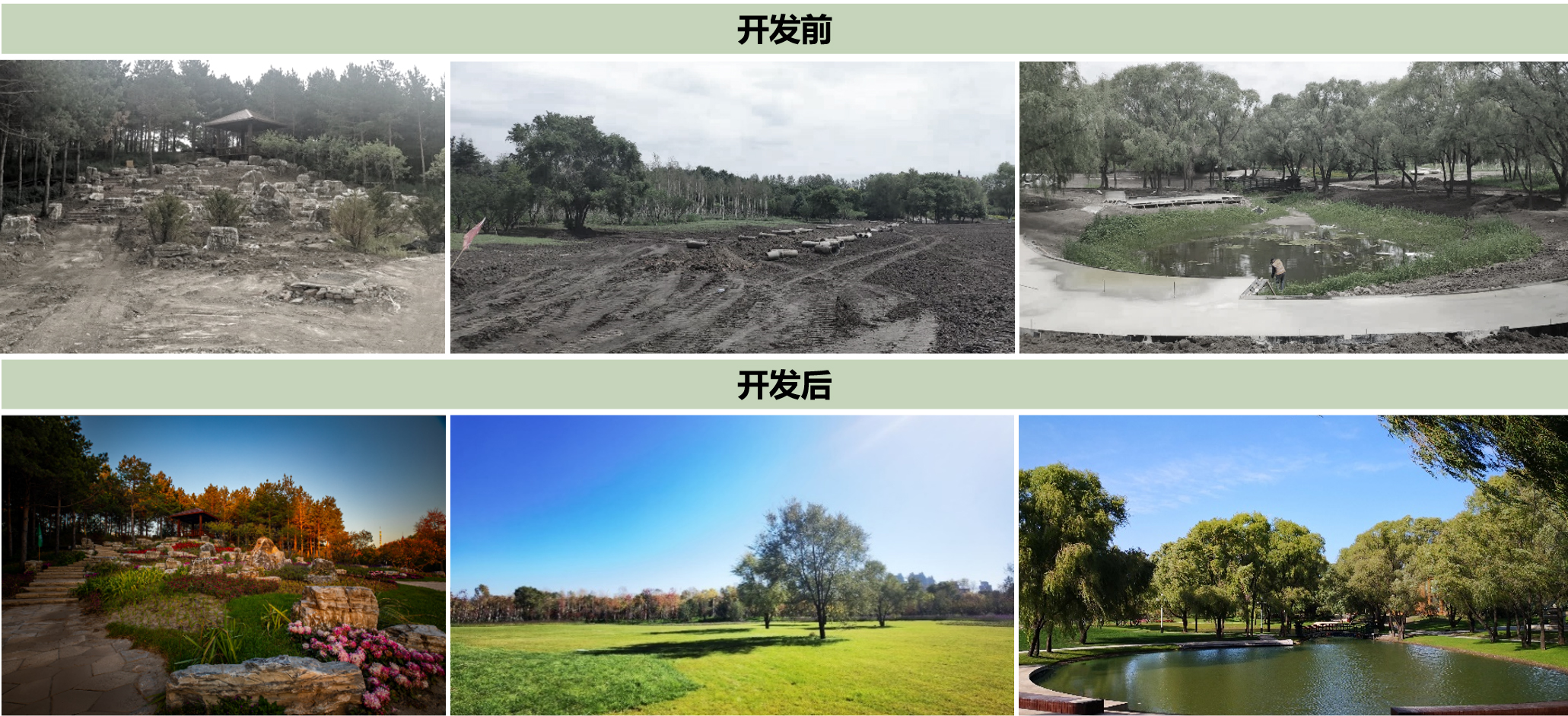 压-技术支持2筑坡，复土 ，治水生态修复技术.jpg