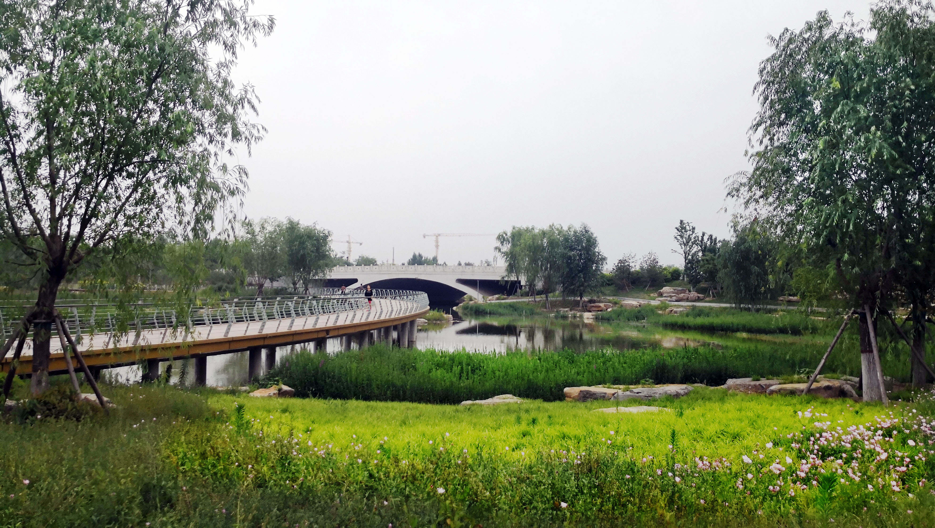 鸿雁湖公园 (5).jpg