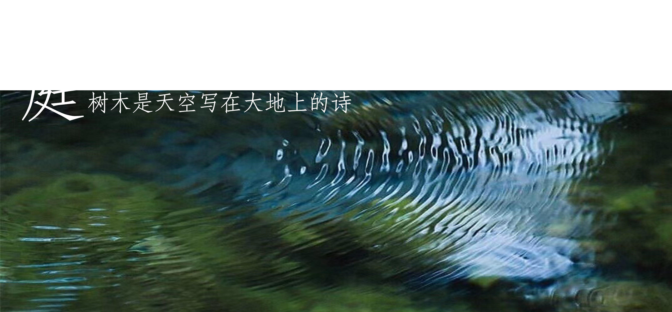 C00.png