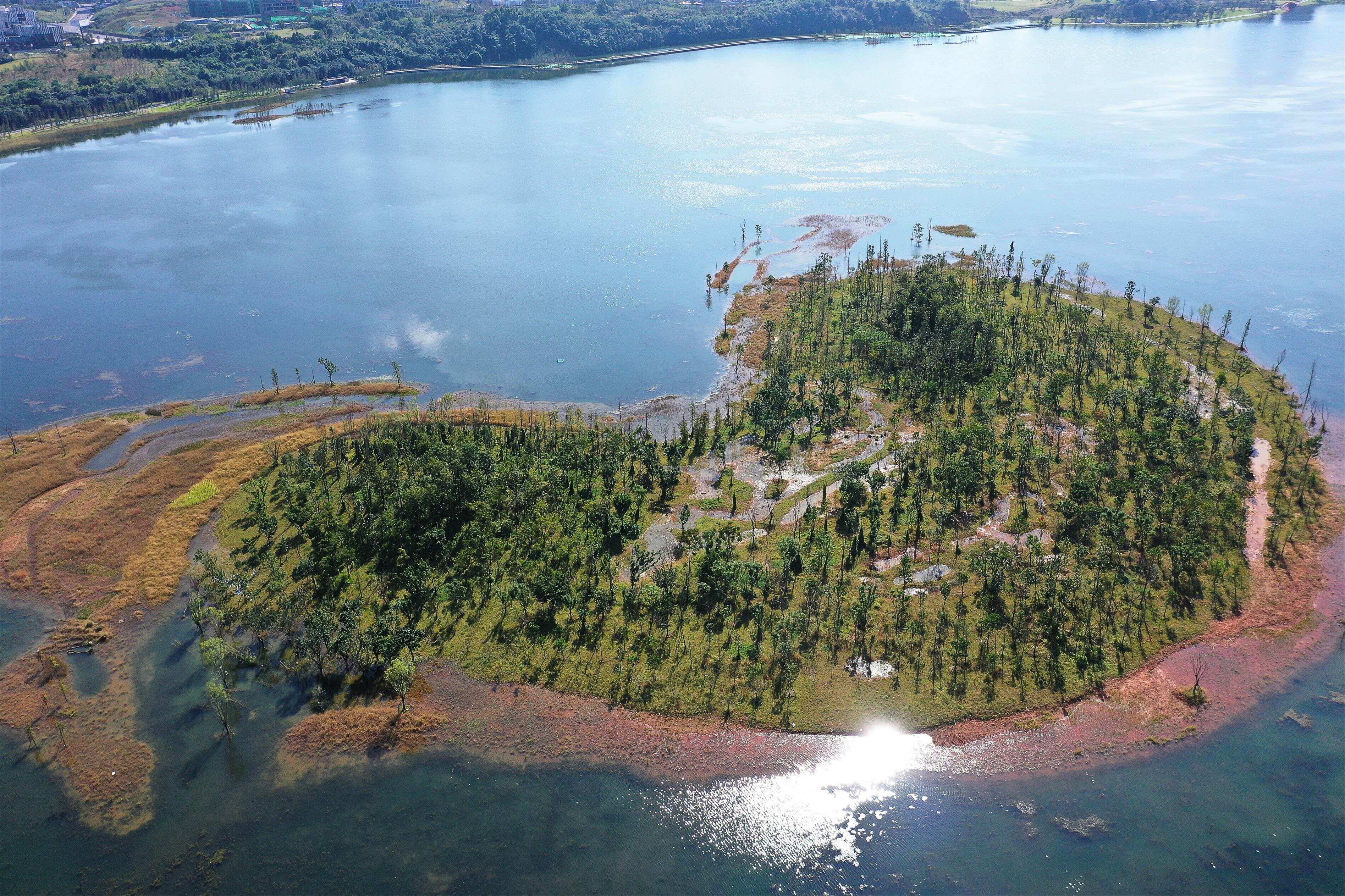 DJI_0230.jpg