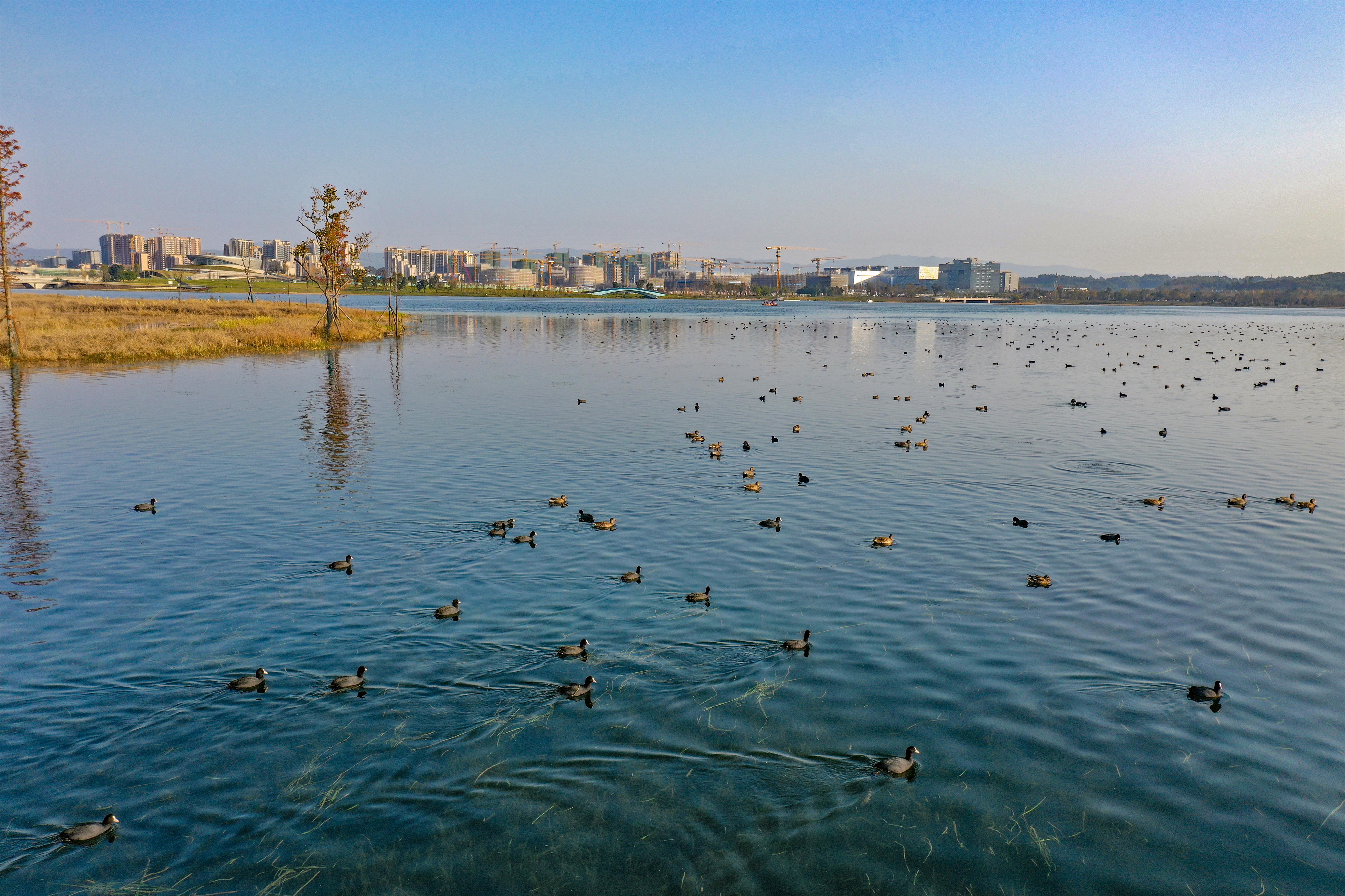 DJI_0348-p2.jpg