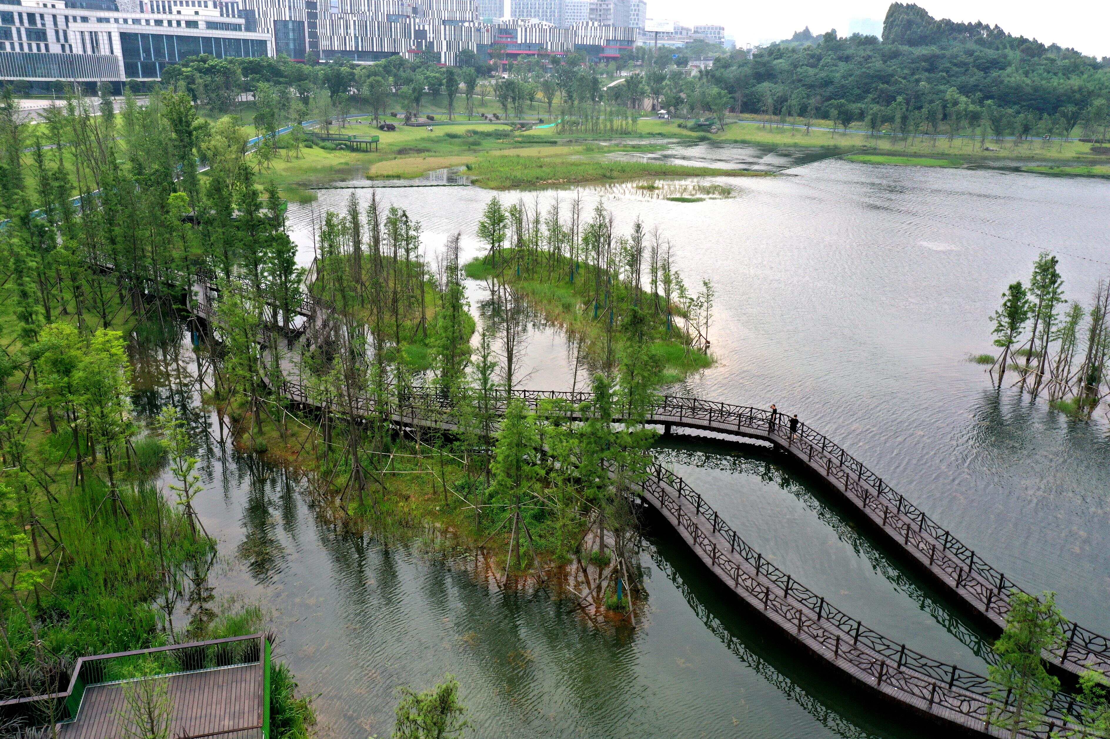 DJI_0291.JPG