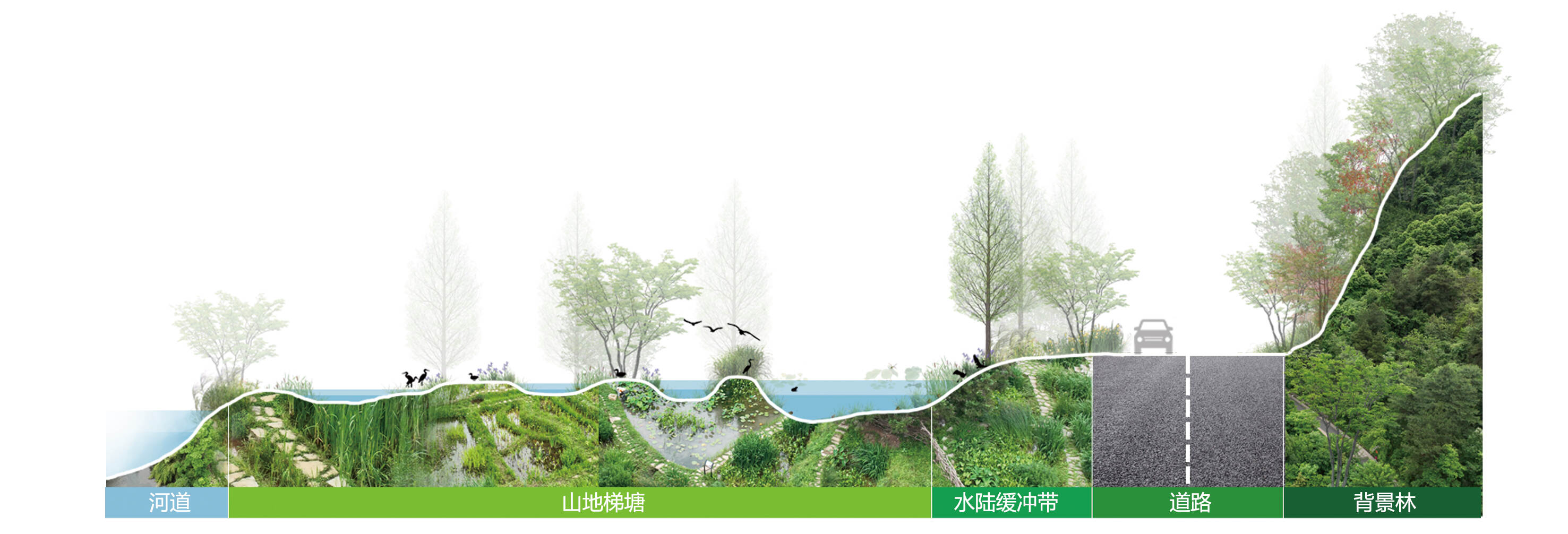 生态系统1.jpg