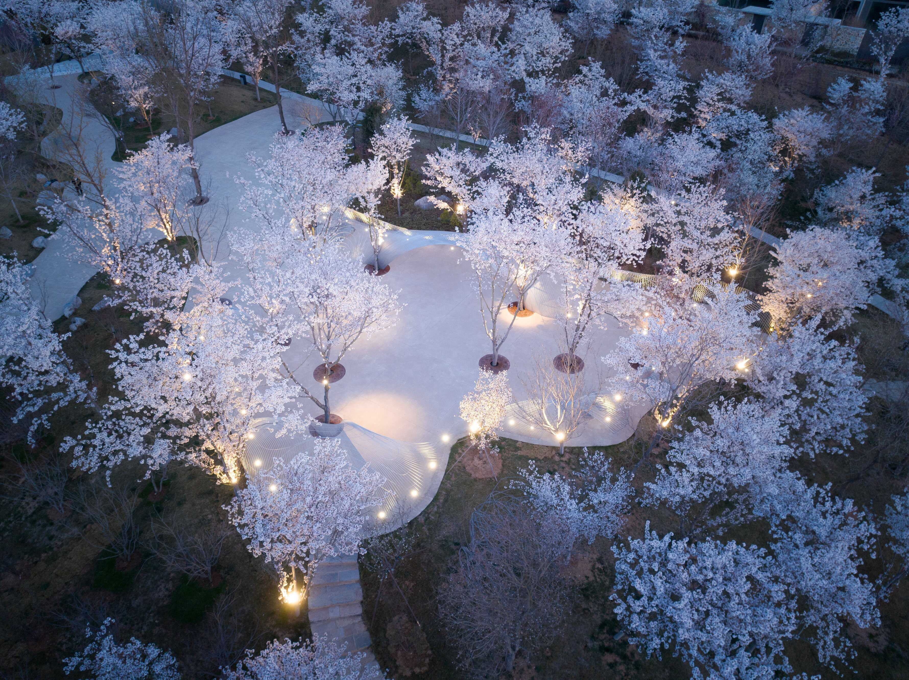 DJI_0071 拷貝.jpg