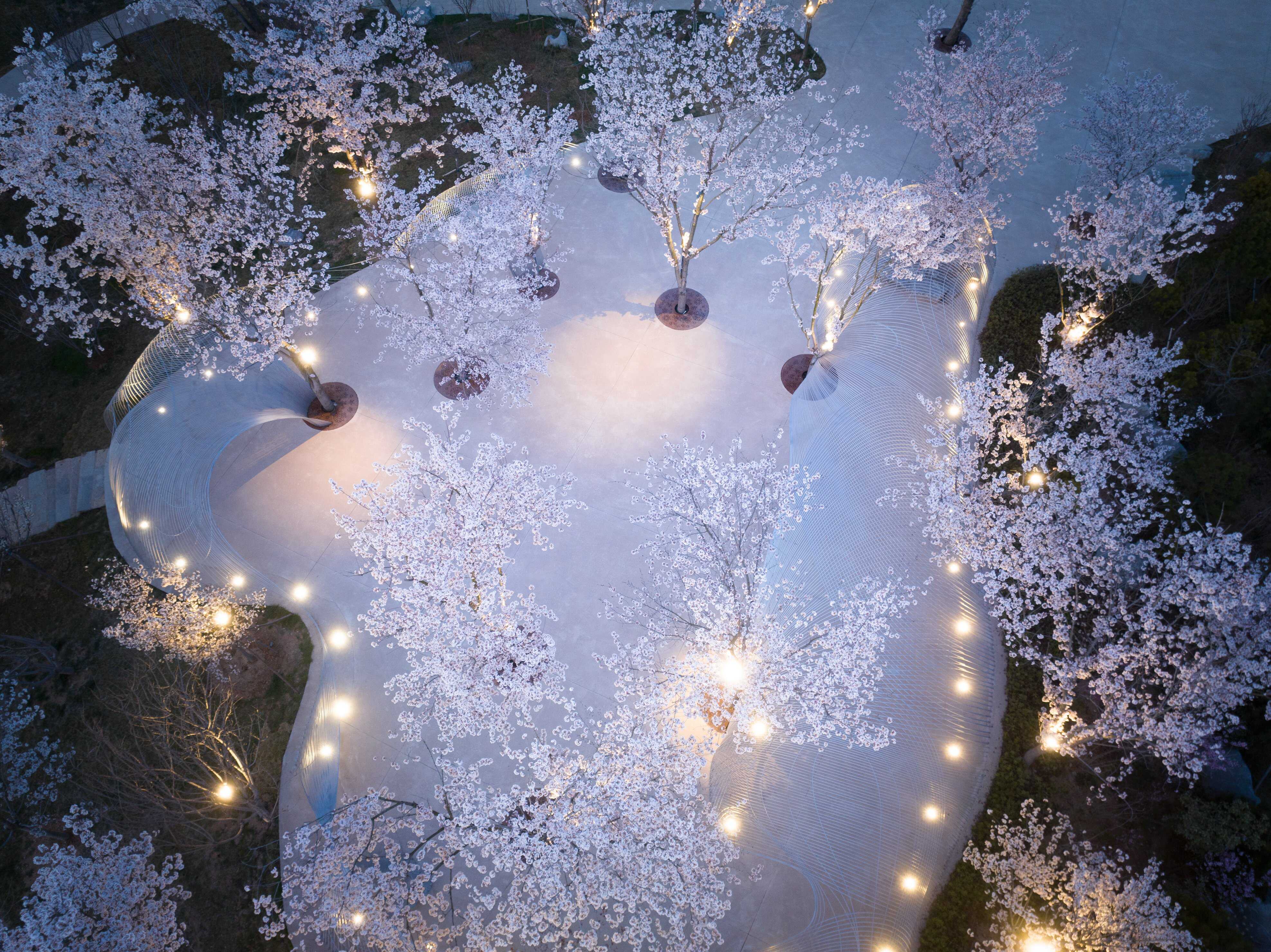 DJI_0081 拷貝.jpg