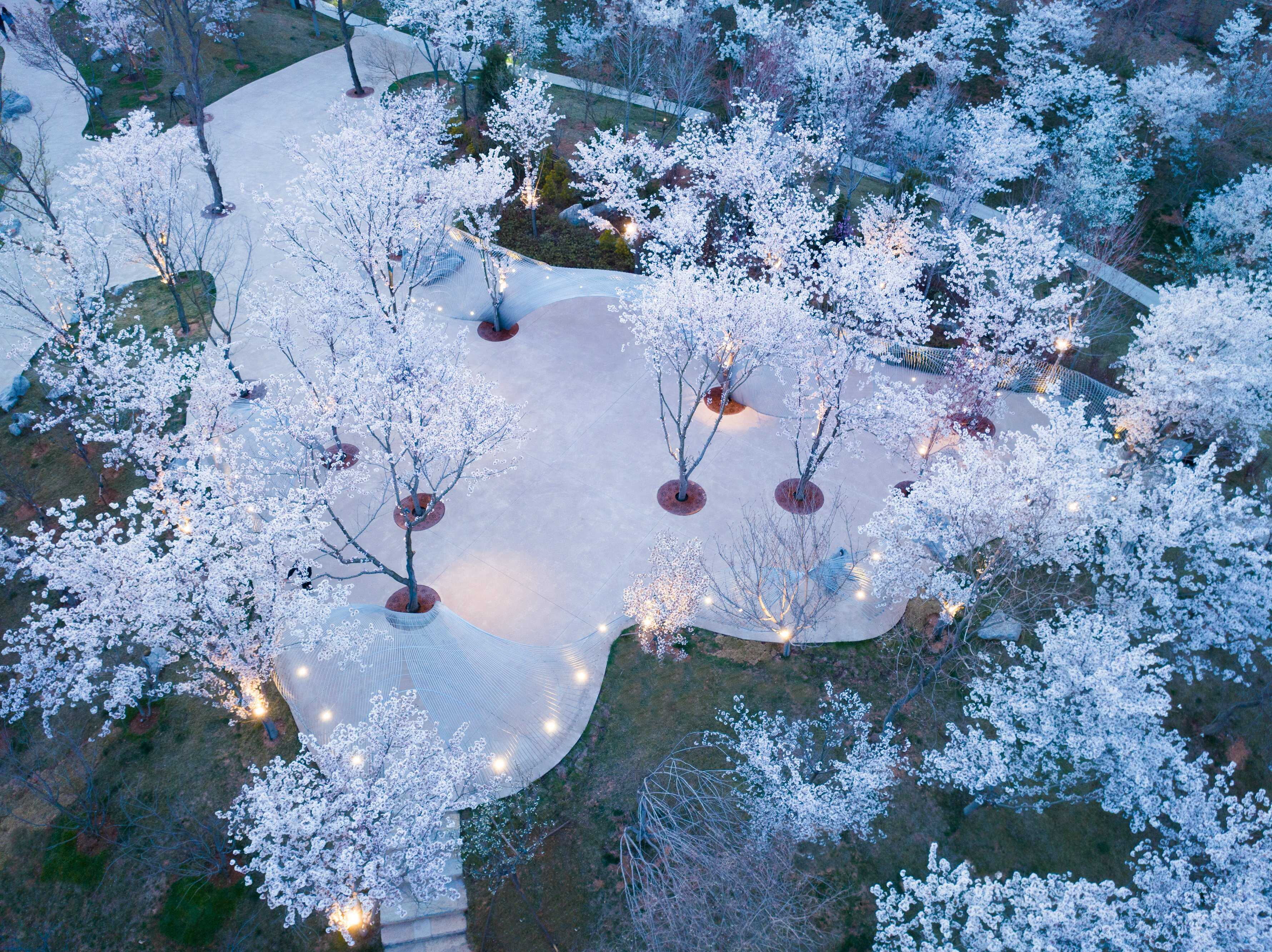 DJI_0997 拷貝.jpg