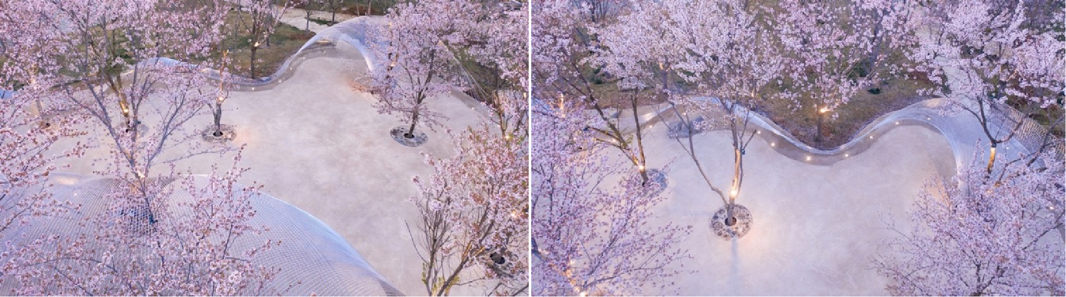 圖片5.png