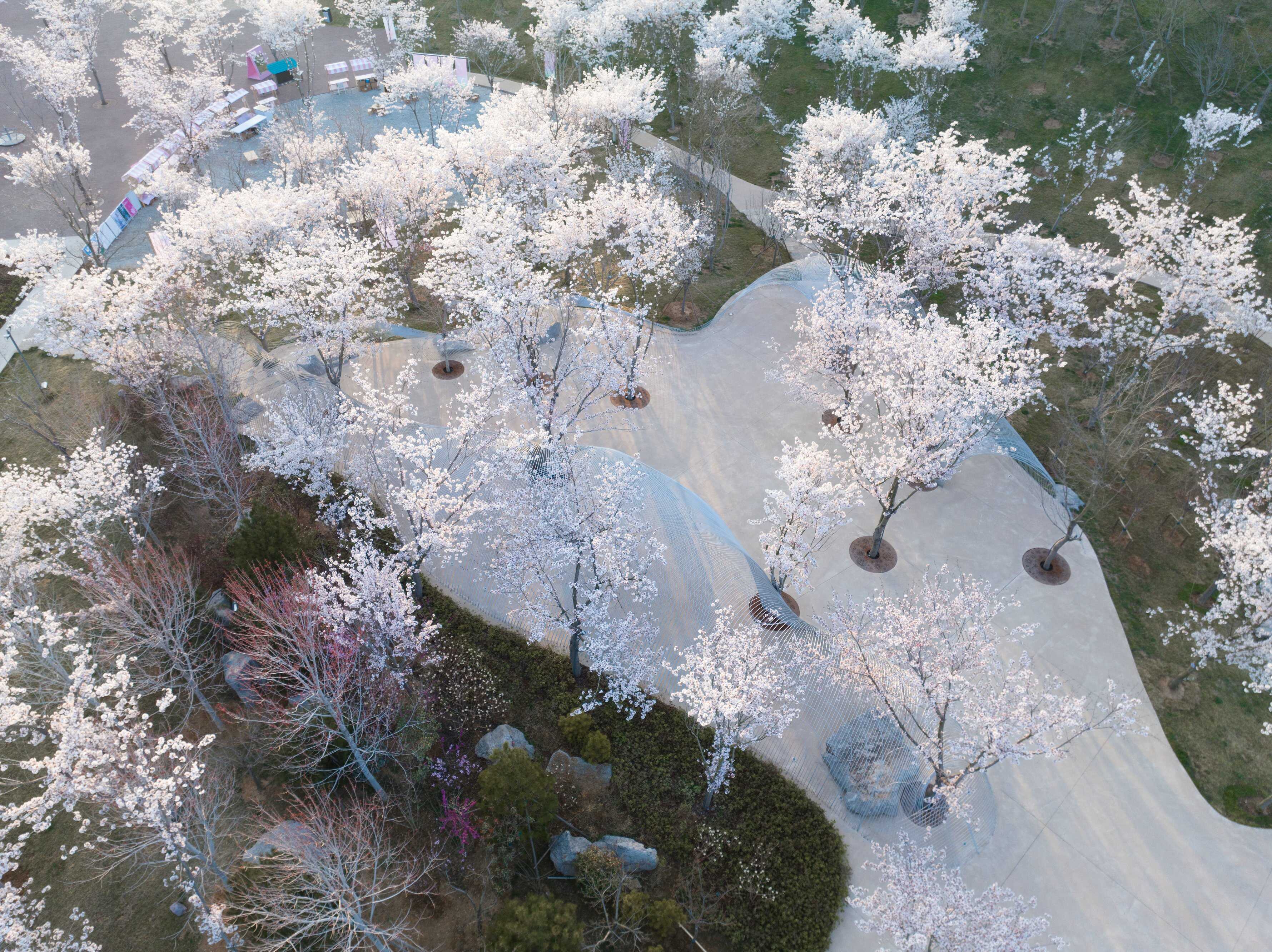 DJI_0141.jpg