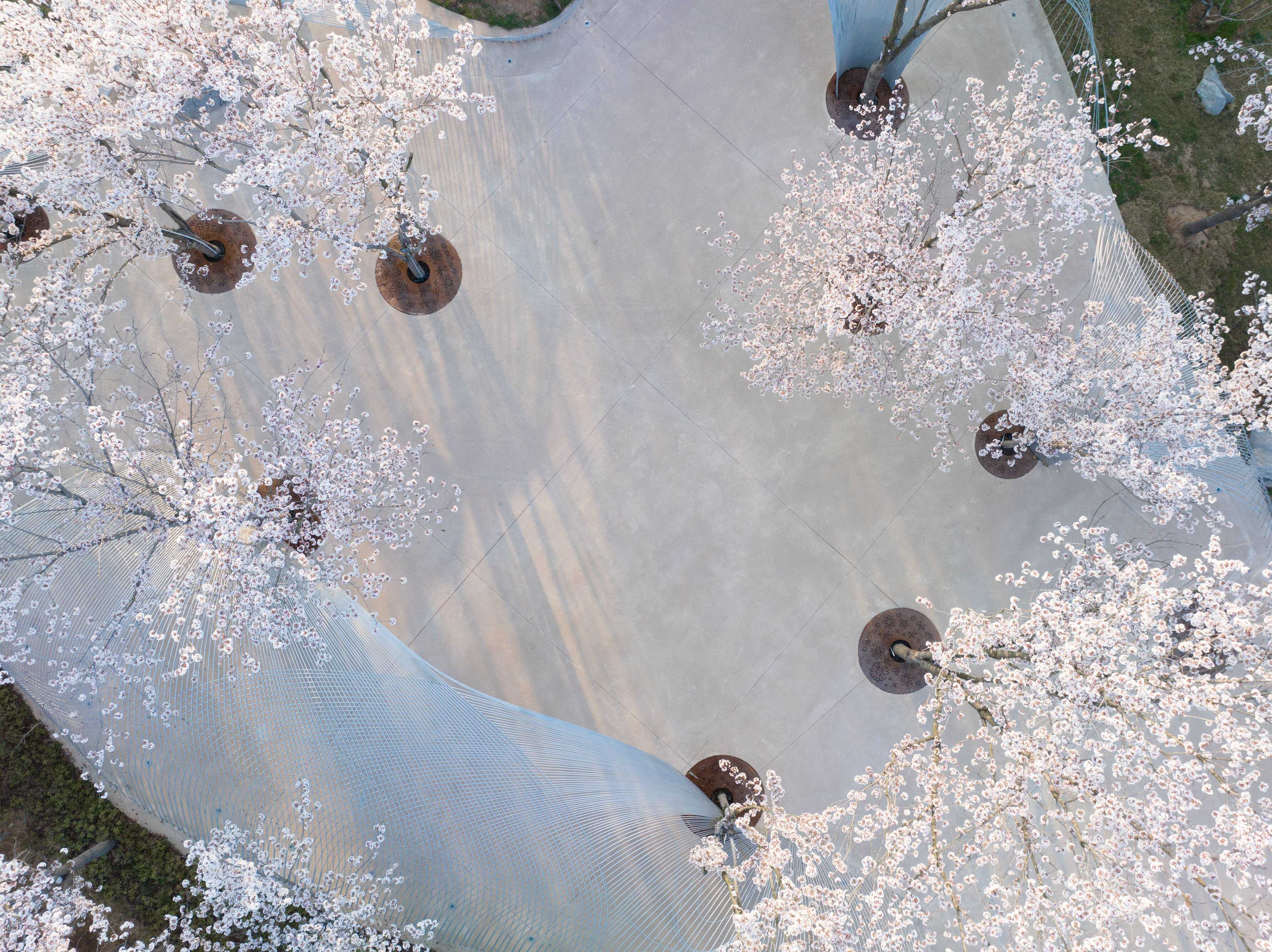 DJI_0146.jpg