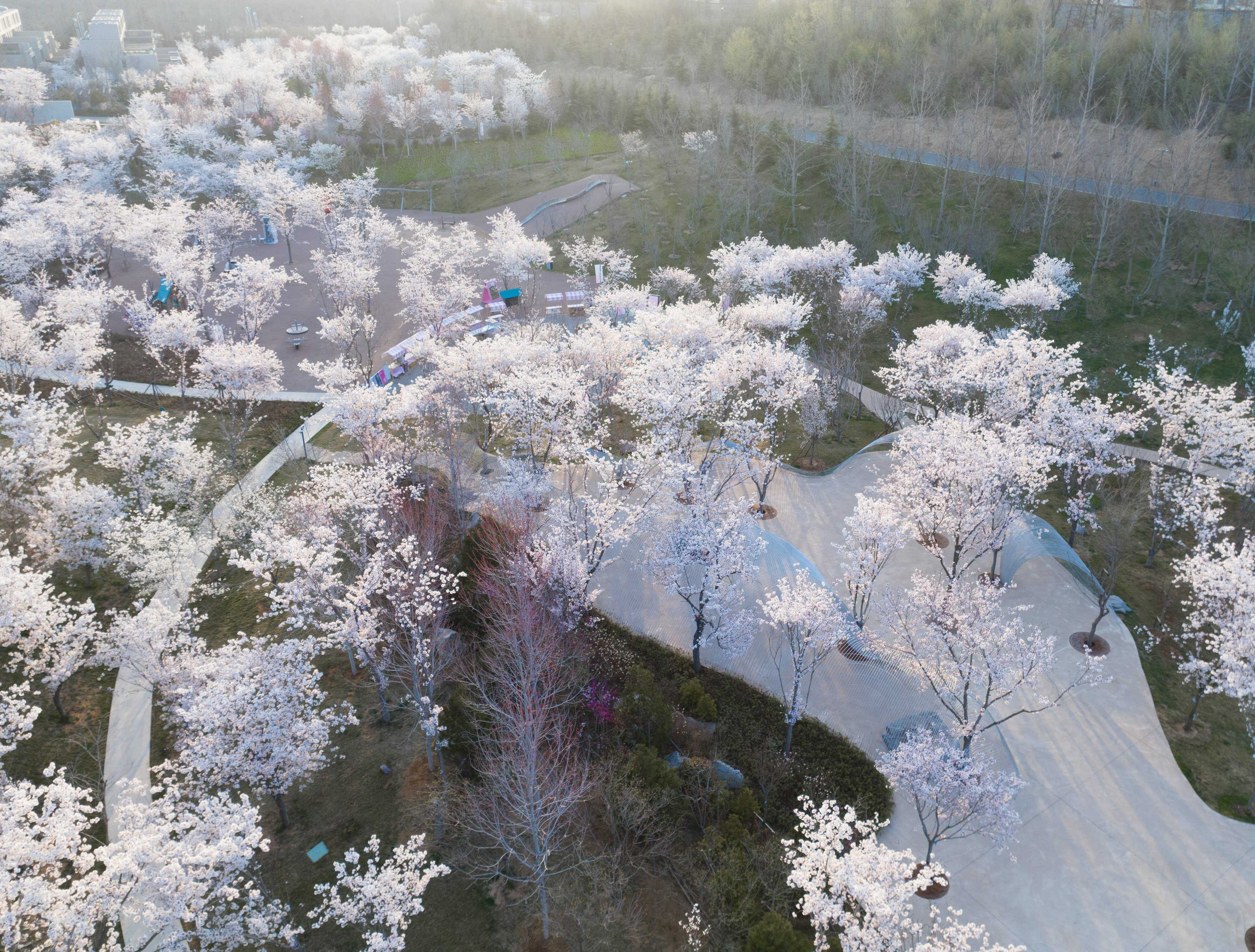 DJI_0148 拷貝.jpg