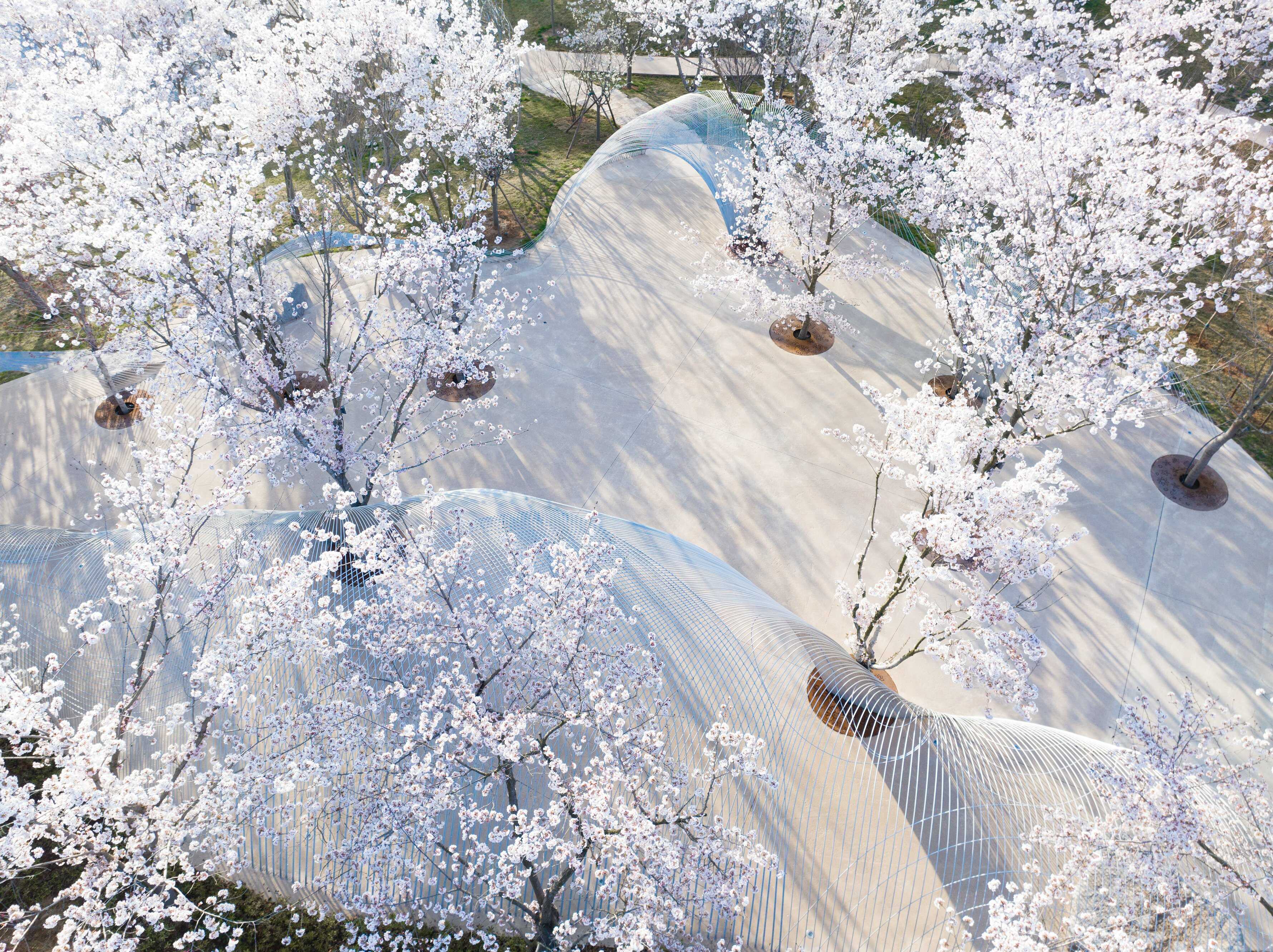 DJI_0192 拷貝.jpg