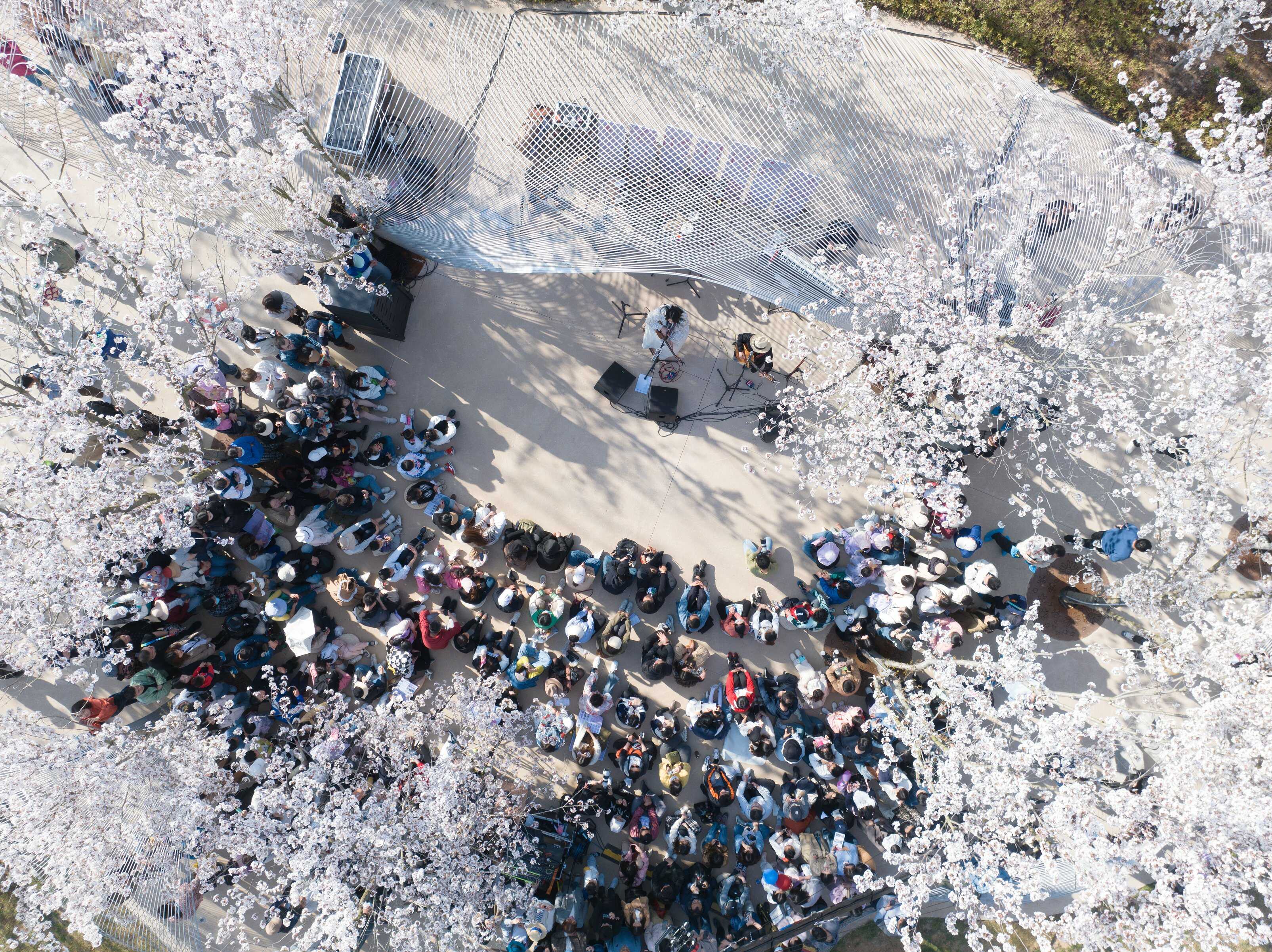 DJI_0874.jpg