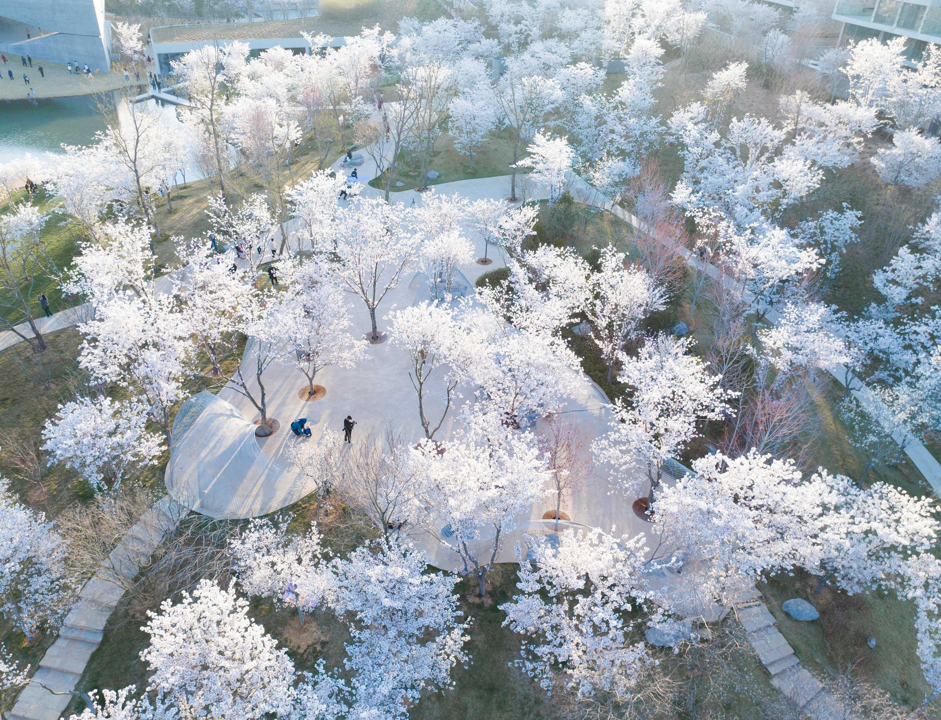 DJI_0920 拷貝.jpg