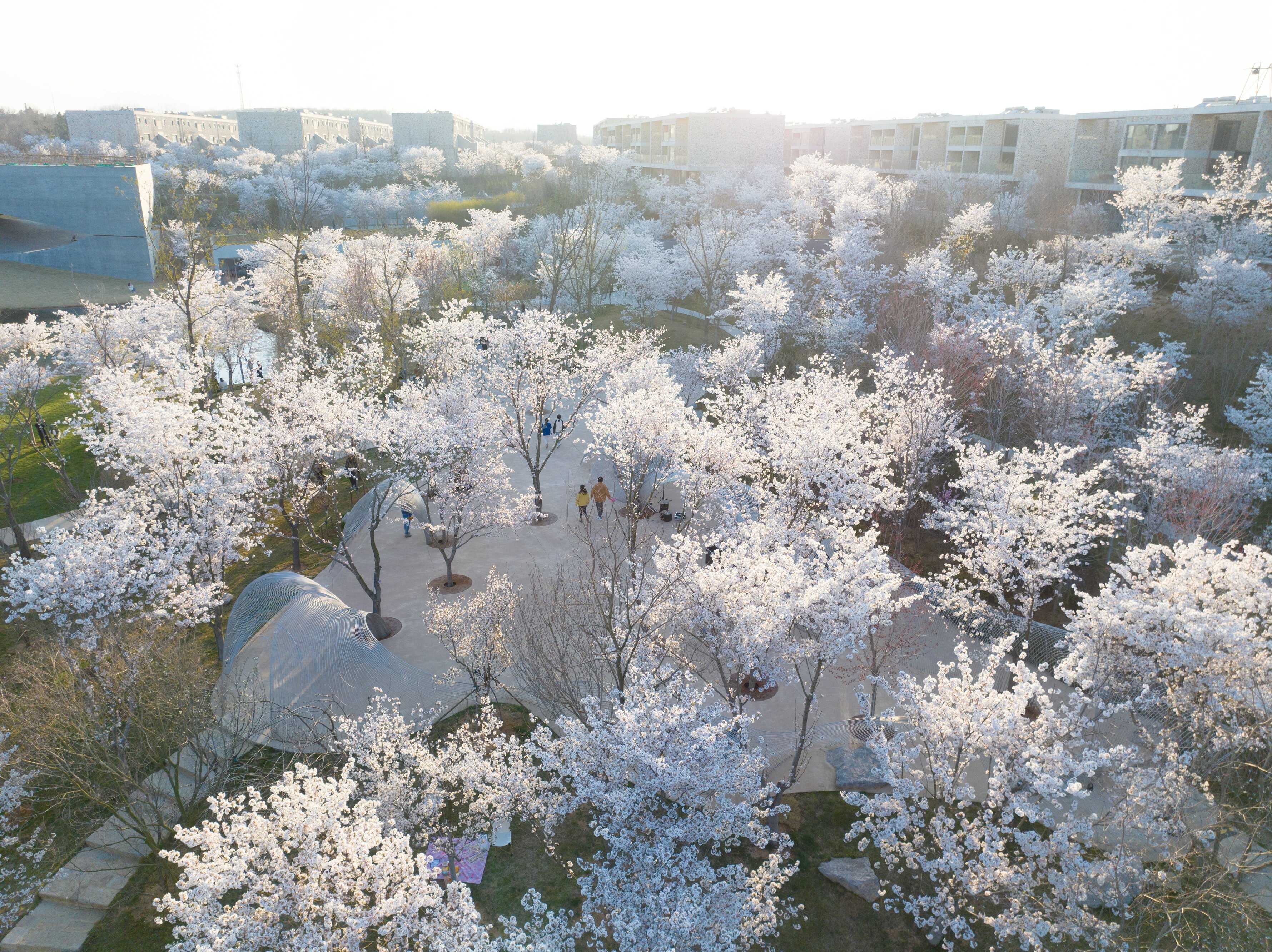 DJI_0939.jpg