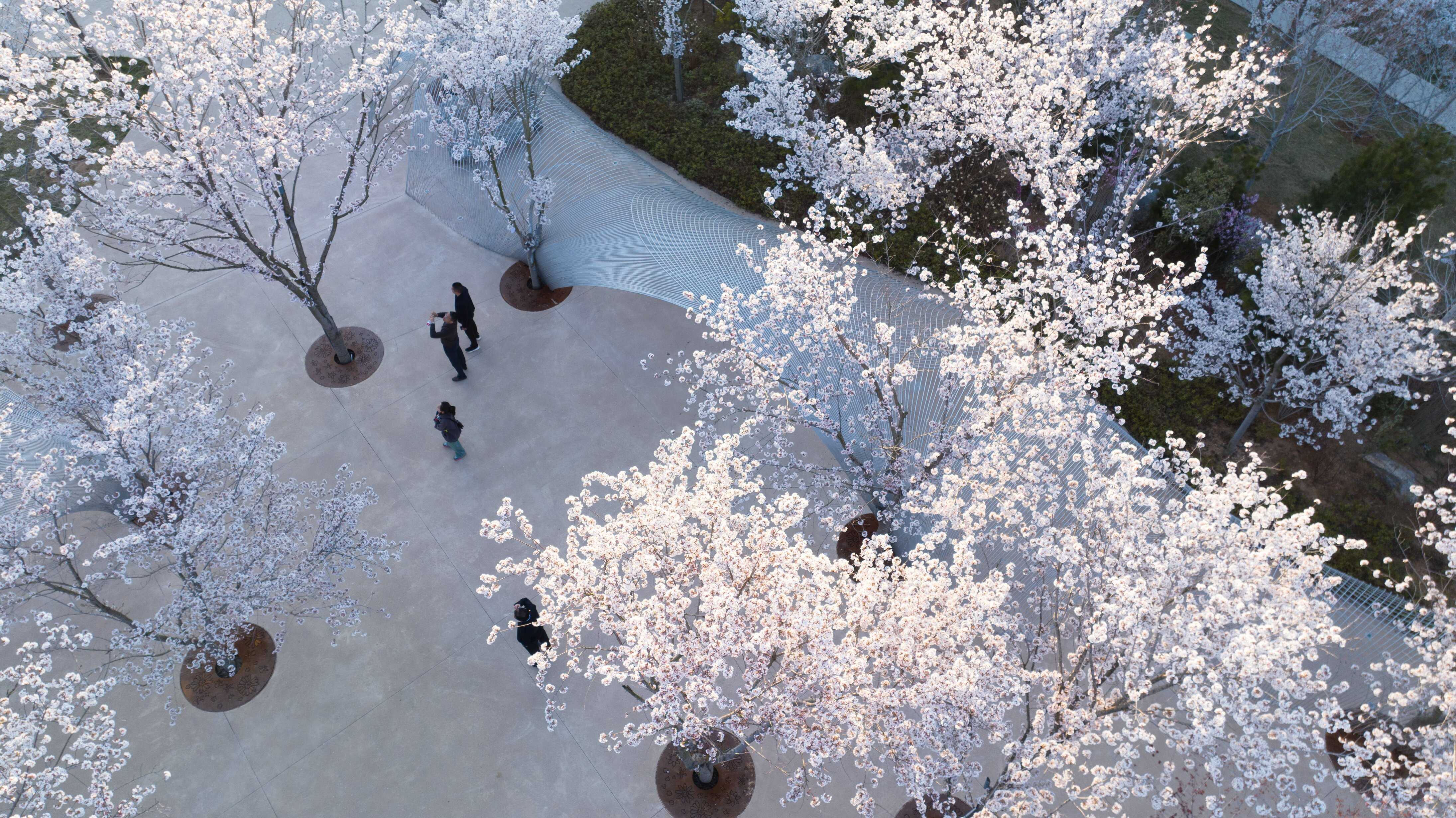DJI_0959.jpg