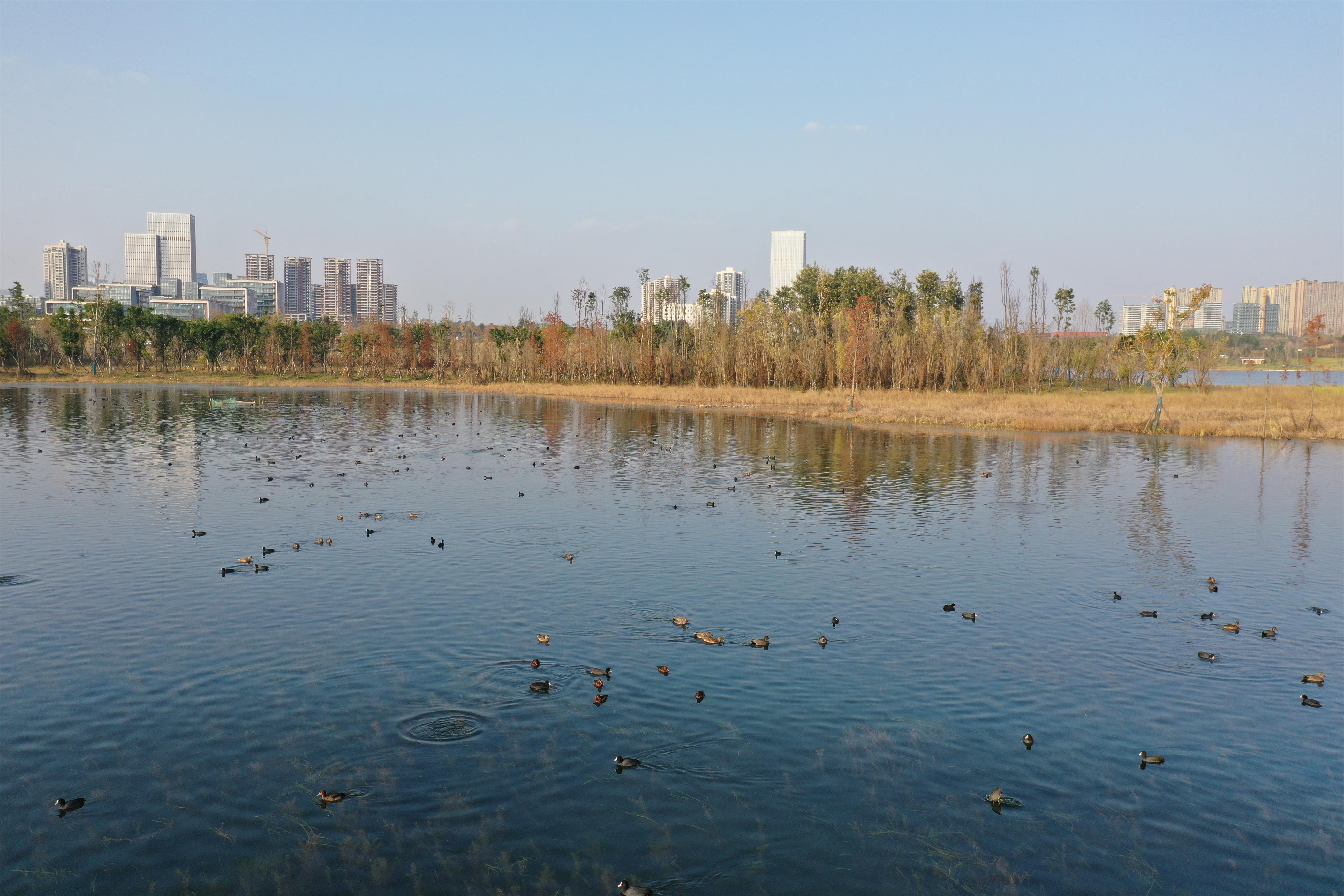 DJI_0356.JPG