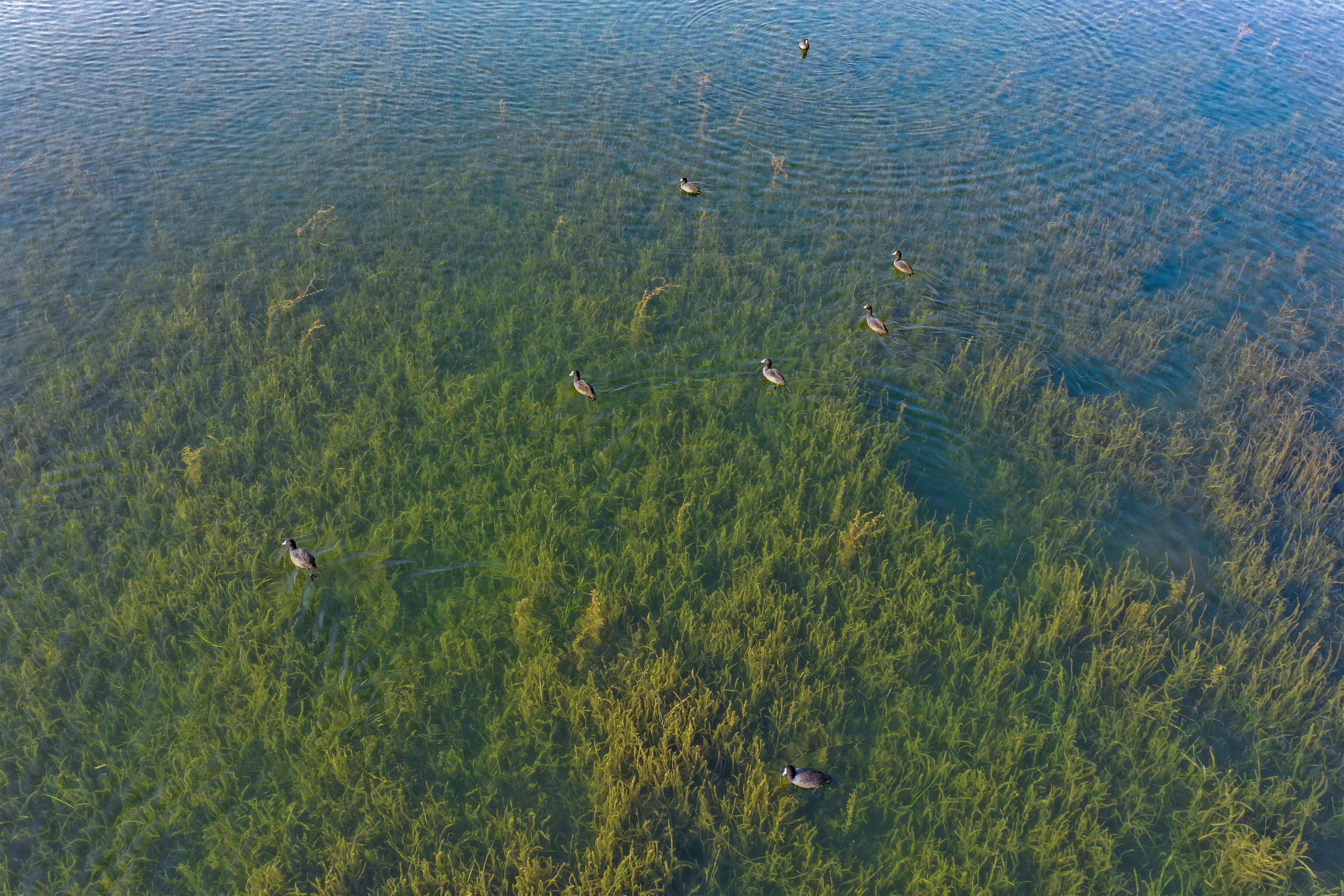 DJI_0251-p2.jpg
