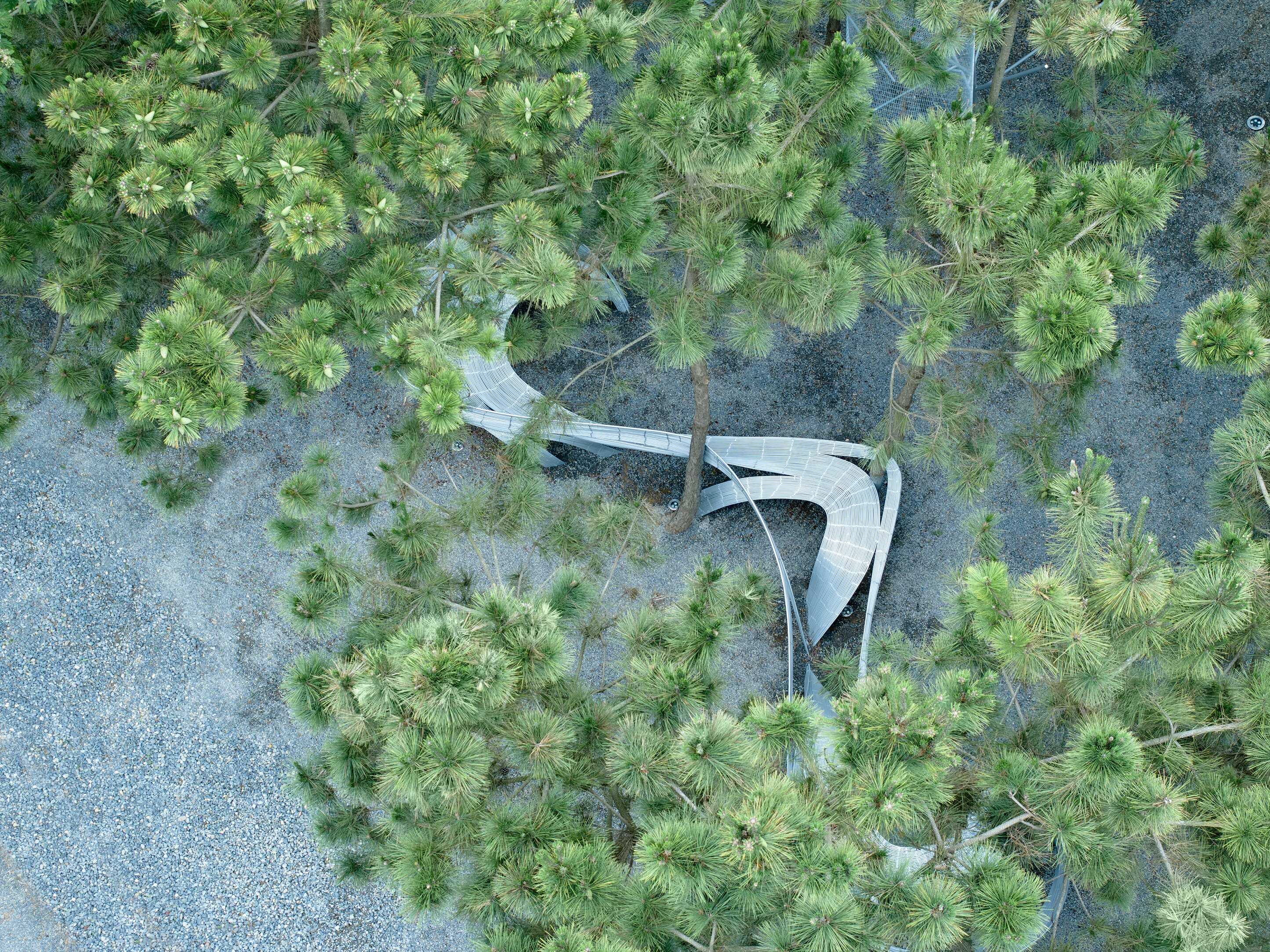 DJI_20230617173851_0566_D 拷貝.jpg