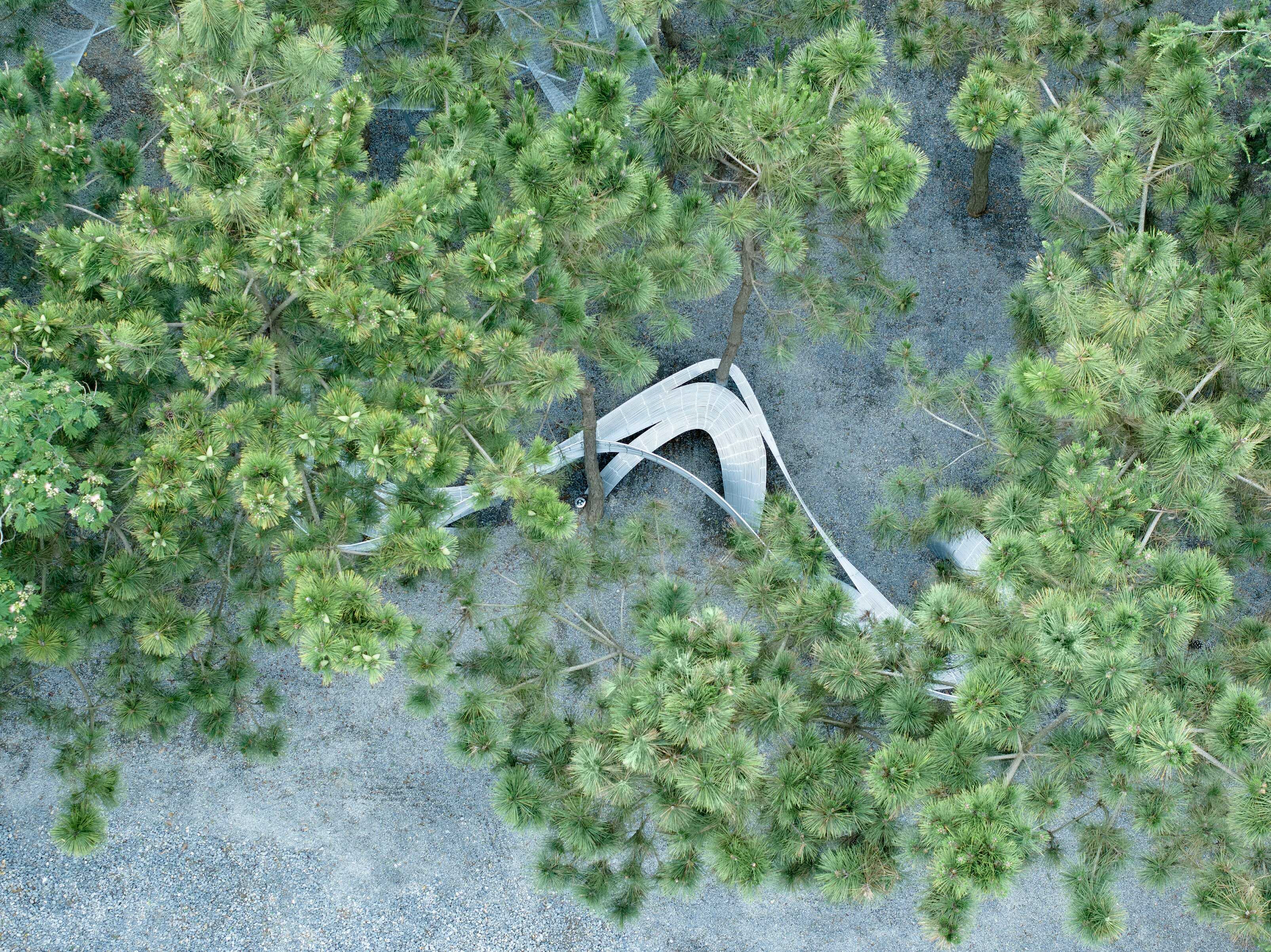 DJI_20230617173920_0567_D 拷貝.jpg