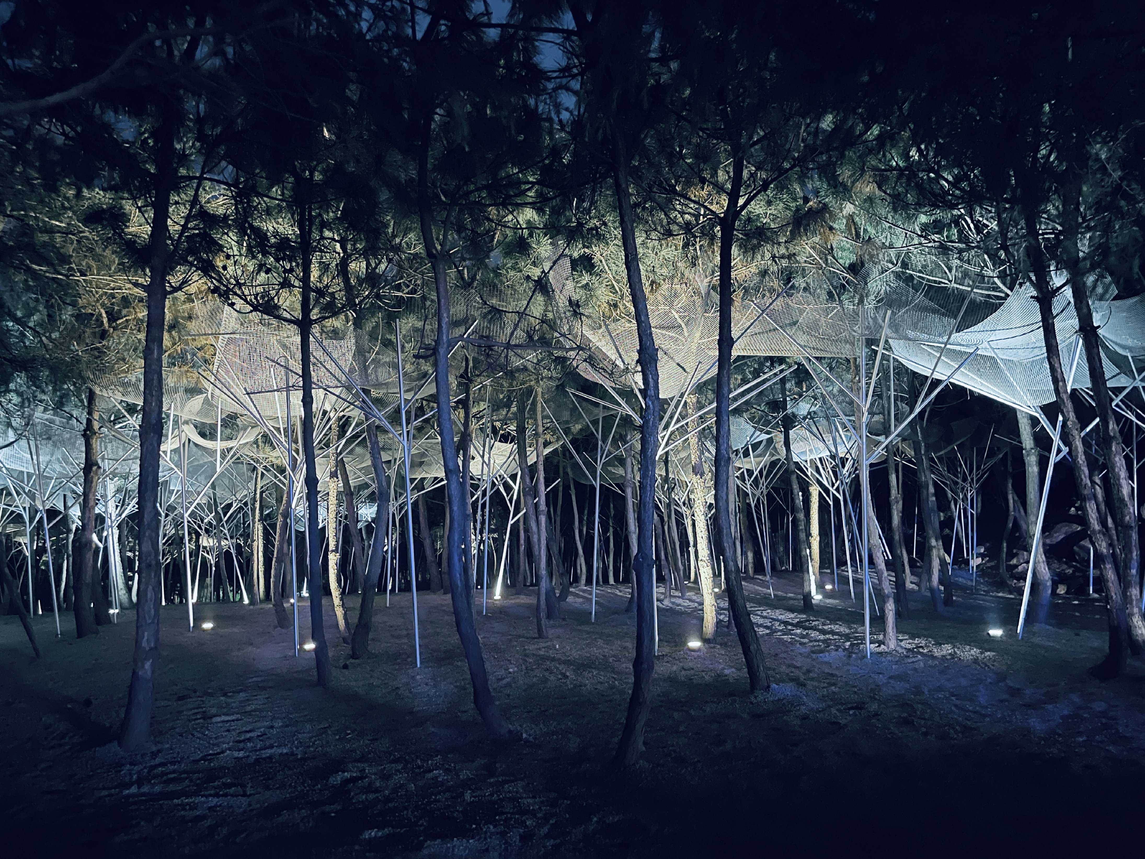 劇場(chǎng)夜景3——孔祥偉拍攝.jpg