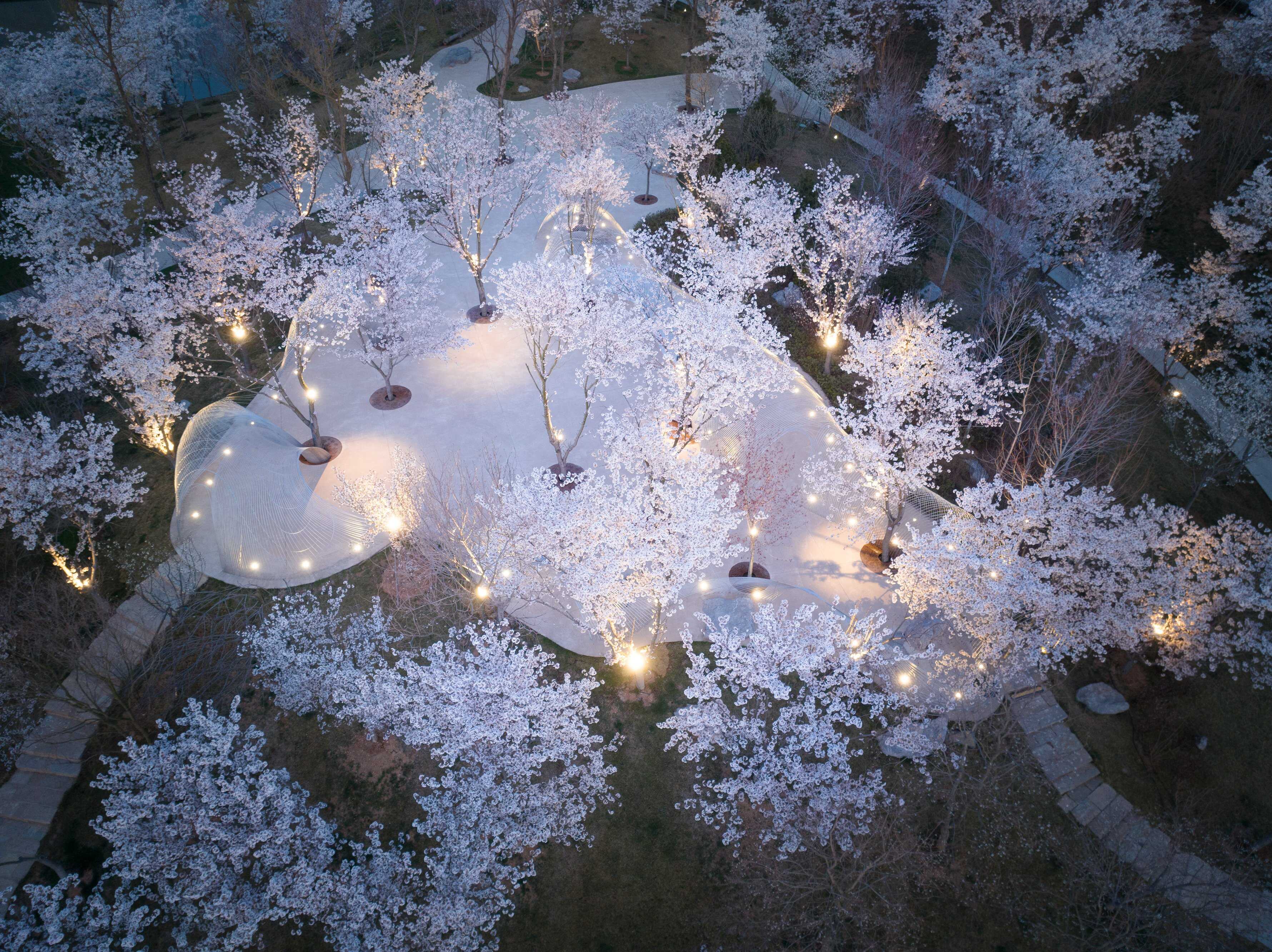 DJI_0074 拷貝.jpg