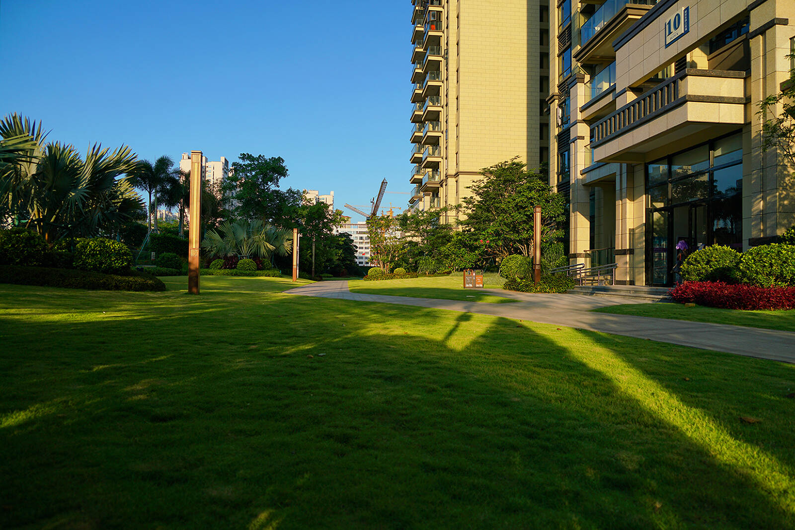 10+10#楼北侧园路+实景.jpg