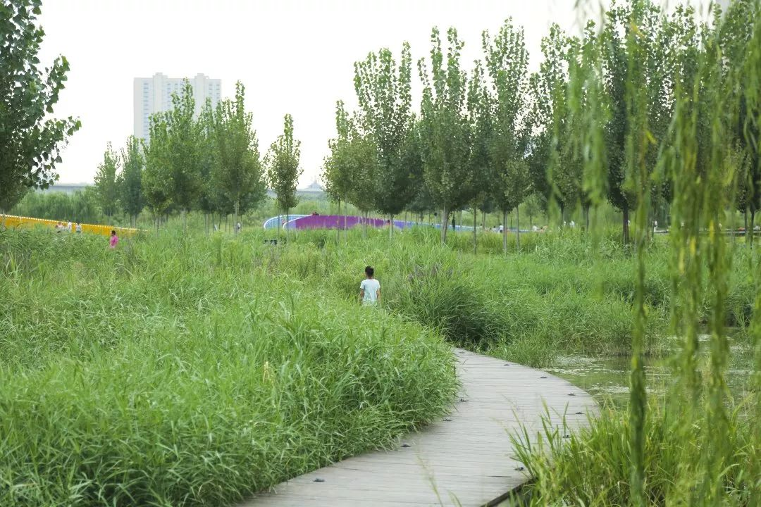 圖片 8.png