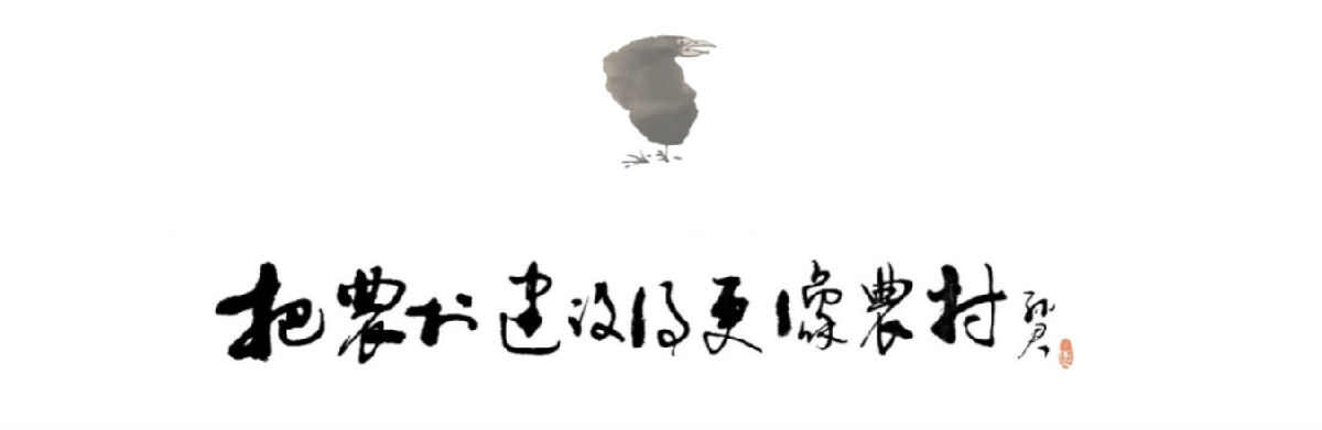 1702892157135532.jpg