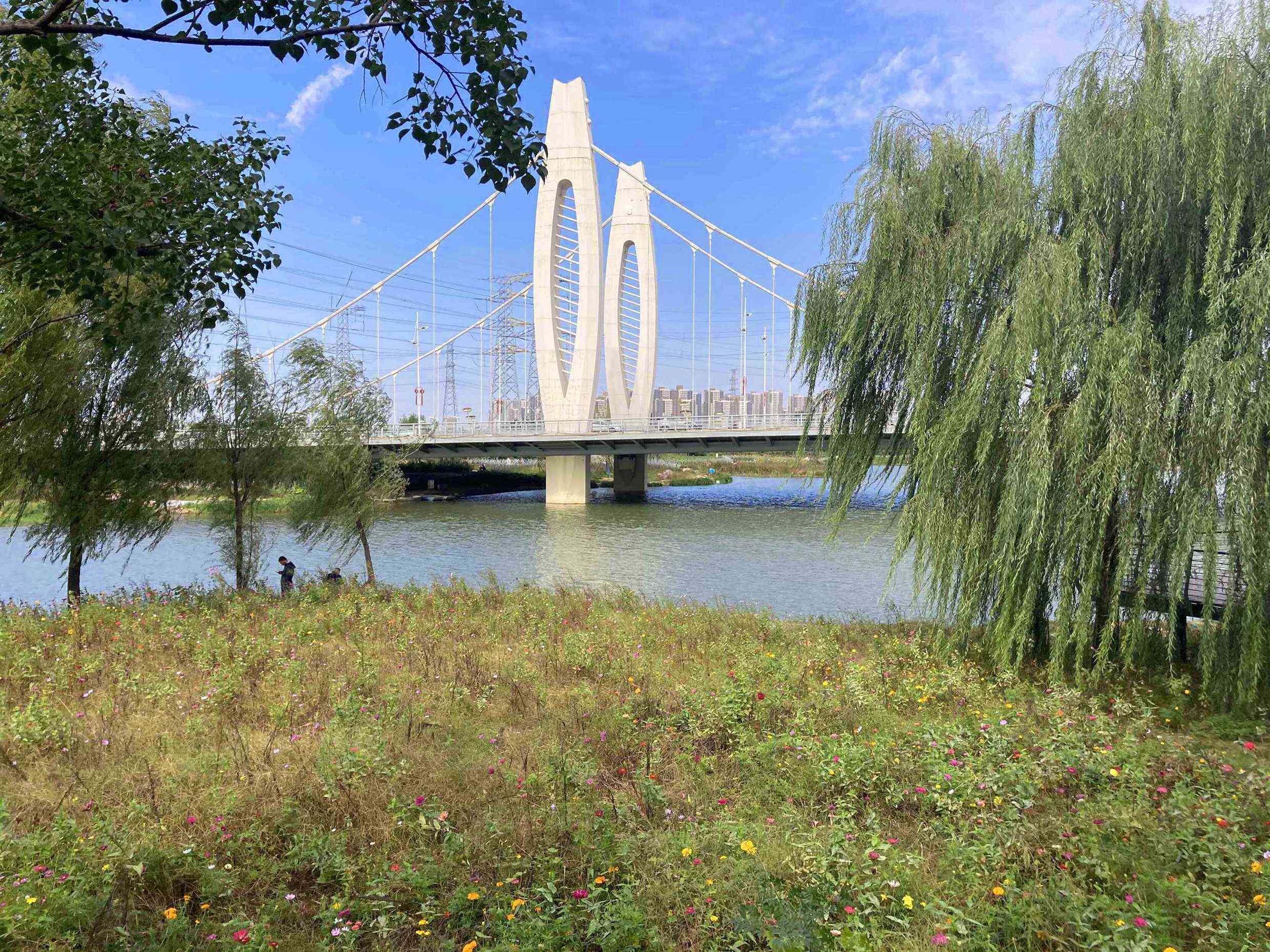 實(shí)景圖2.jpg