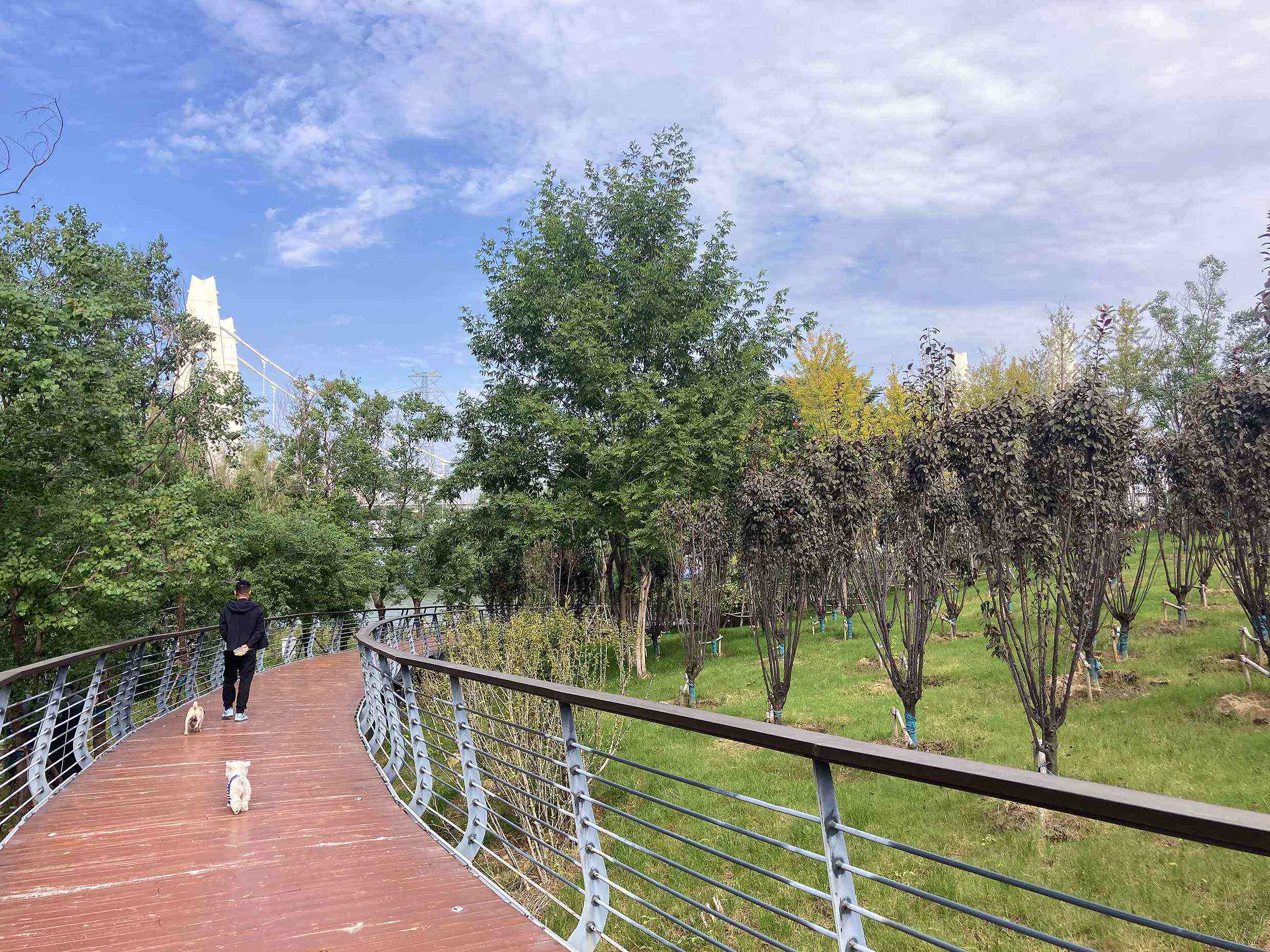 實(shí)景圖3.jpg