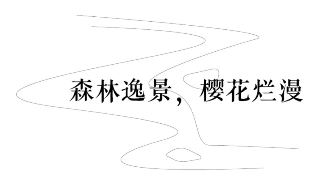 圖片 12.png