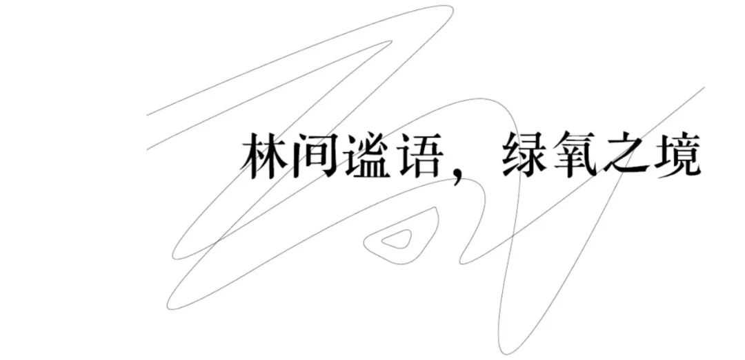 圖片 24.png