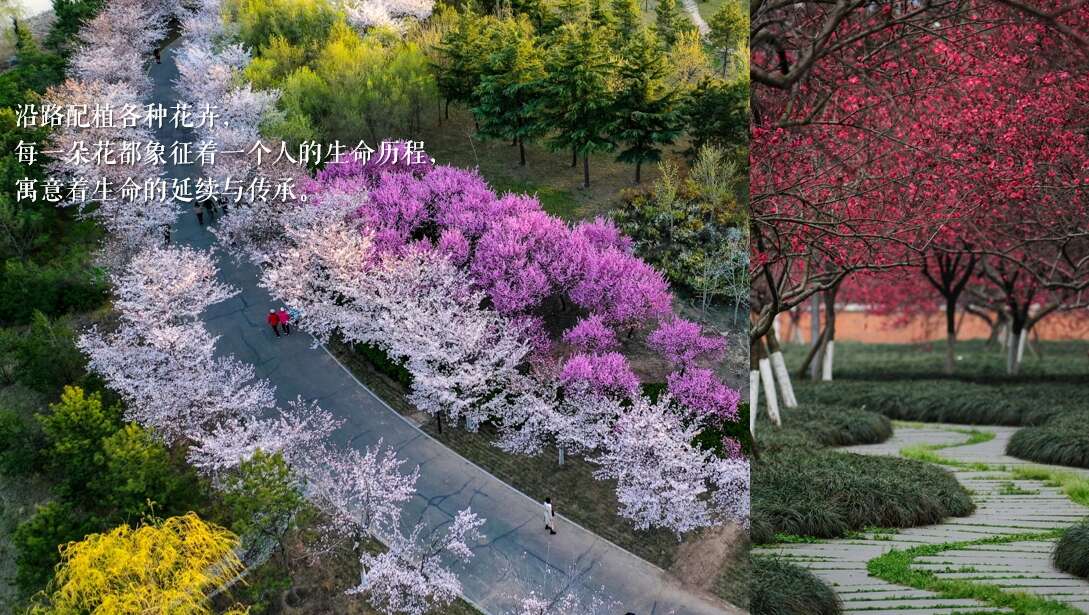 微信截圖_20240403141932.png