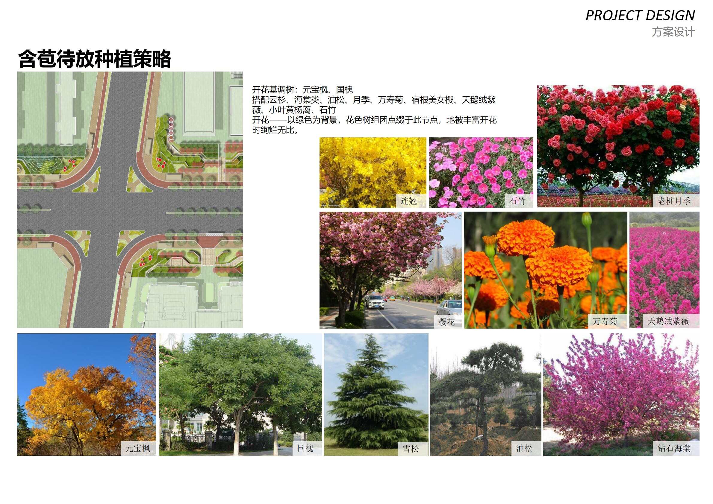 幻燈片49.jpg