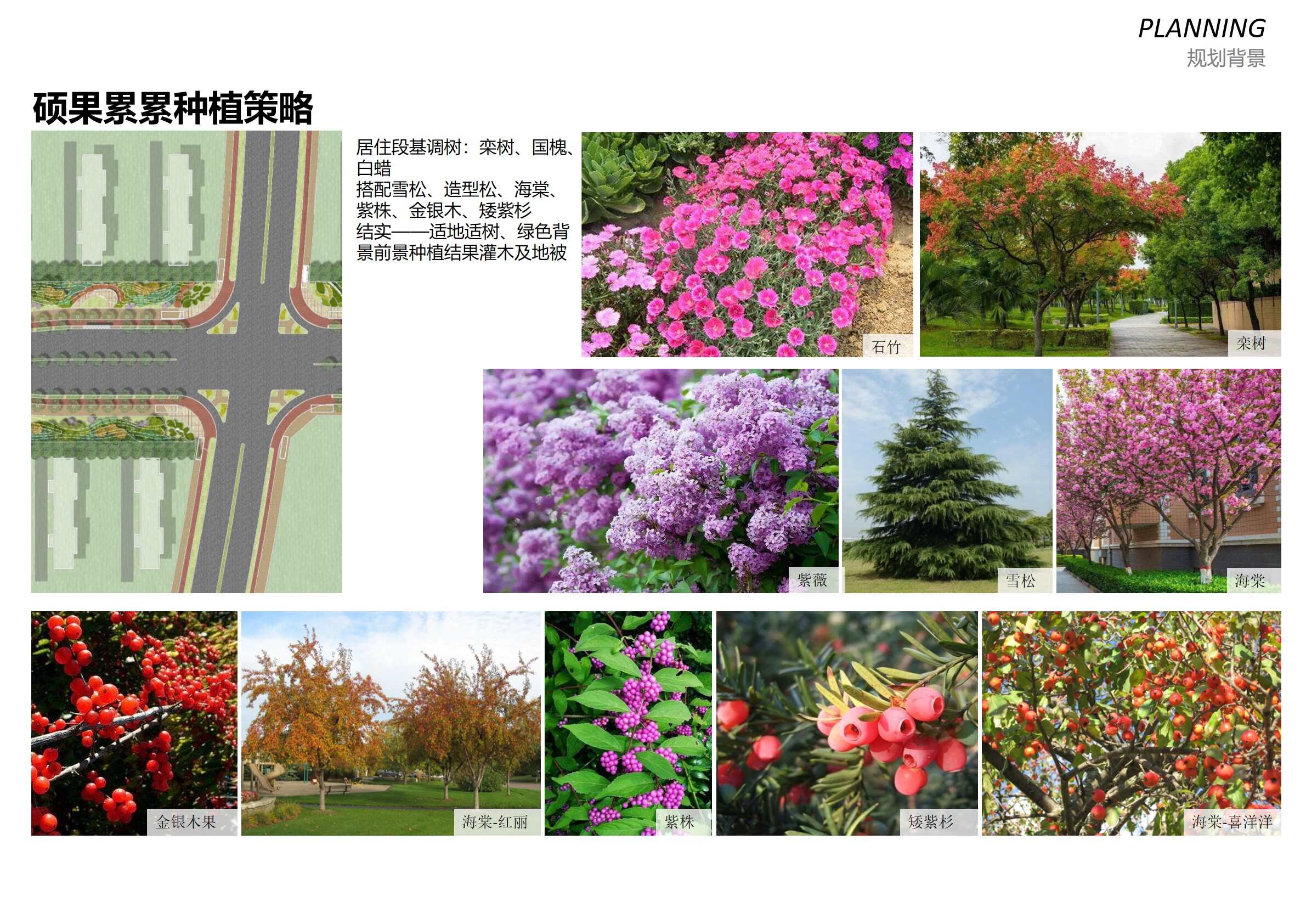幻燈片51.jpg