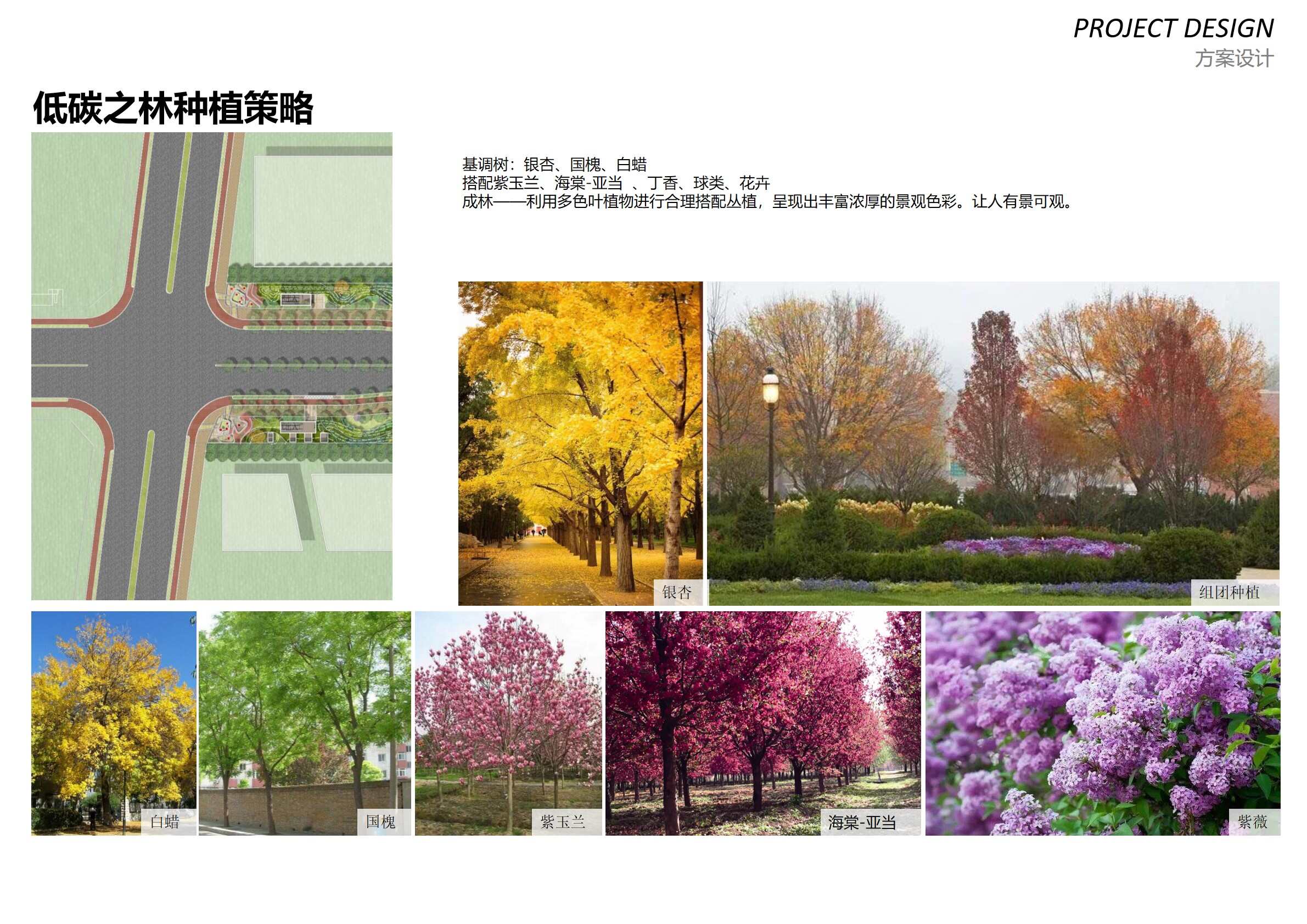 幻燈片53.jpg