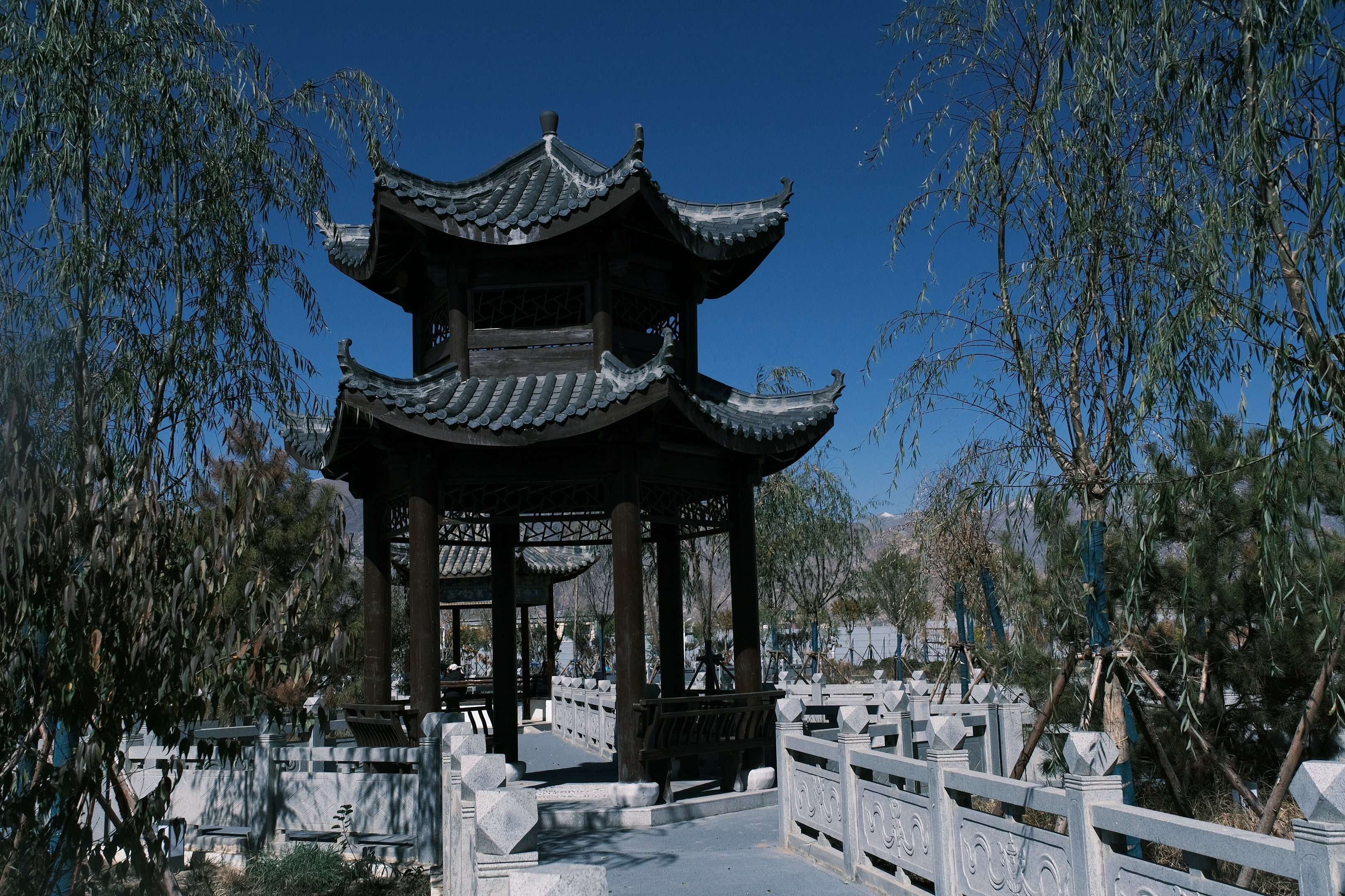 DSCF1117.JPG