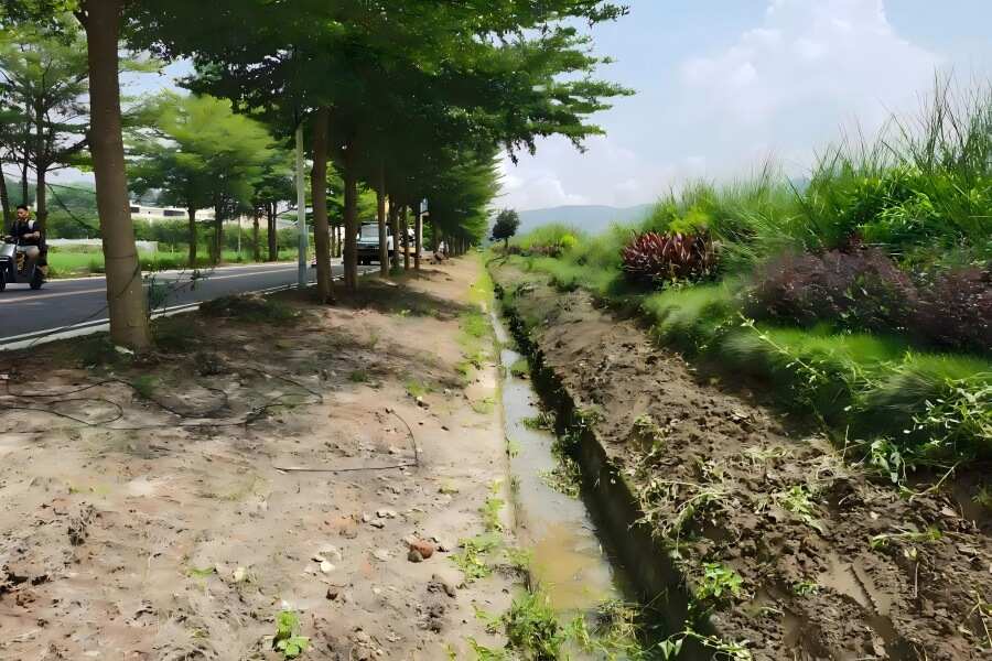 1754306996837097.jpg 1.jpg