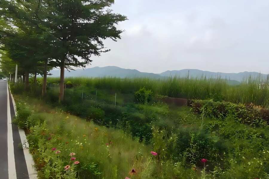 1754307015234781.jpg 3.jpg