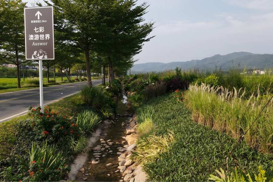 1754307159456136.jpg 14.jpg