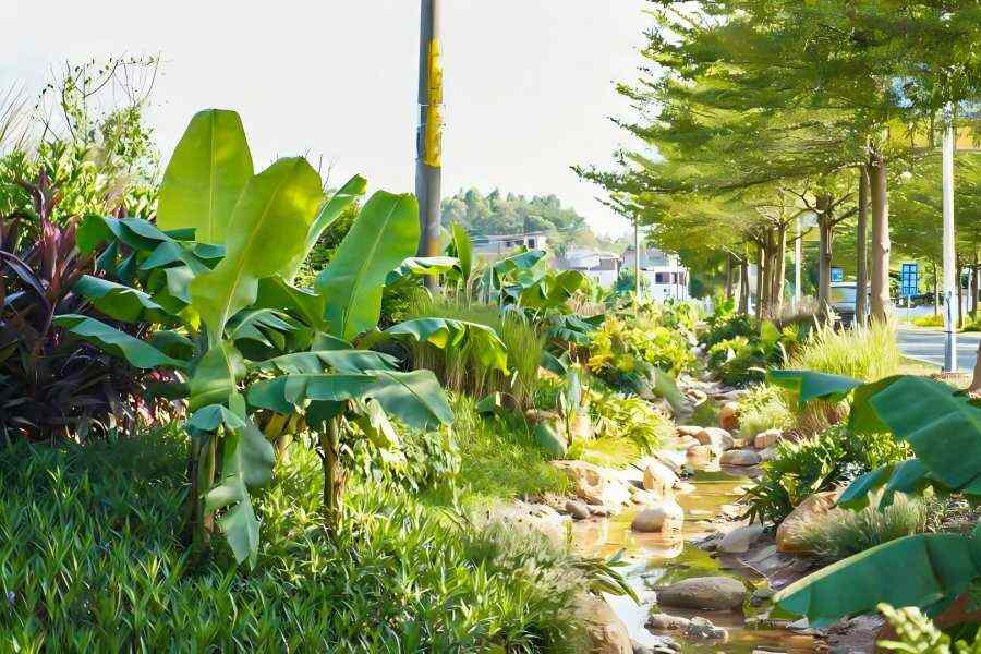 1754307181618065.jpg 17.jpg